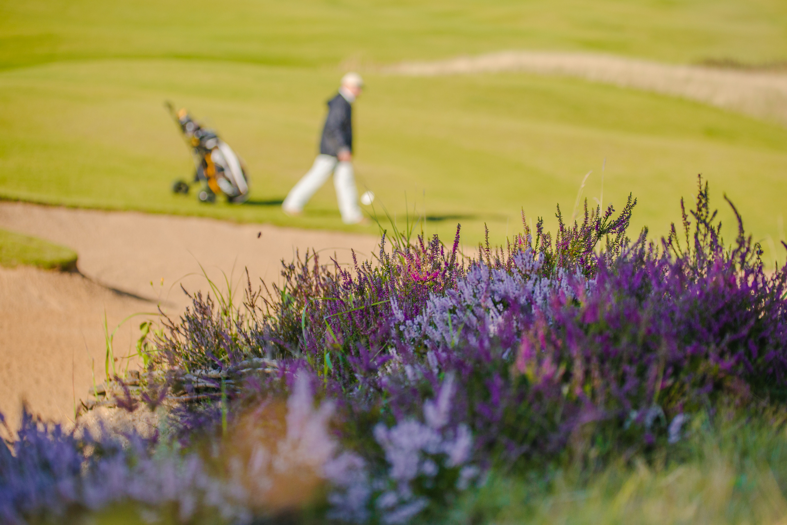 GOLF. Photo/Video Production