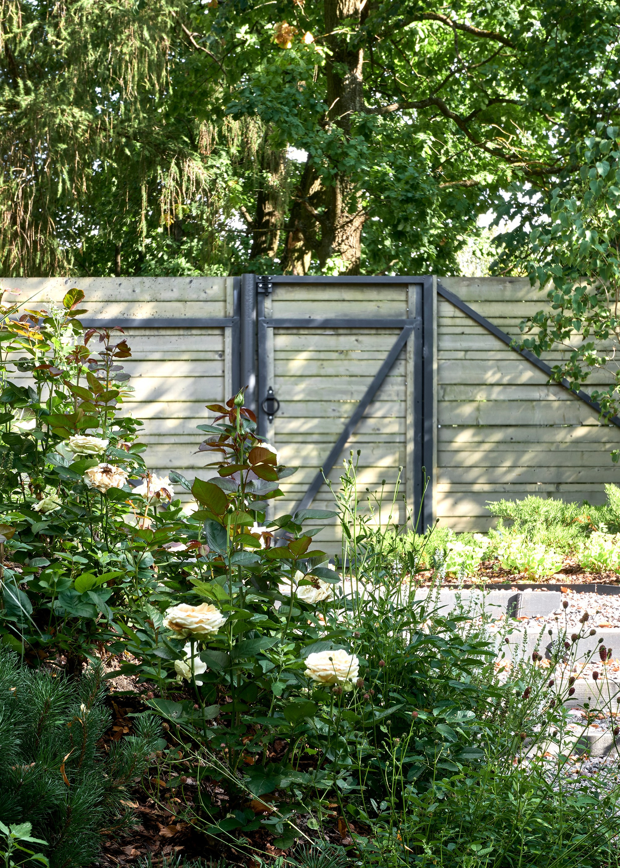 Сад для музея Штакеншнайдера. Фотосъемка частных садов и интерьеров | Санкт-Петербург | Москва