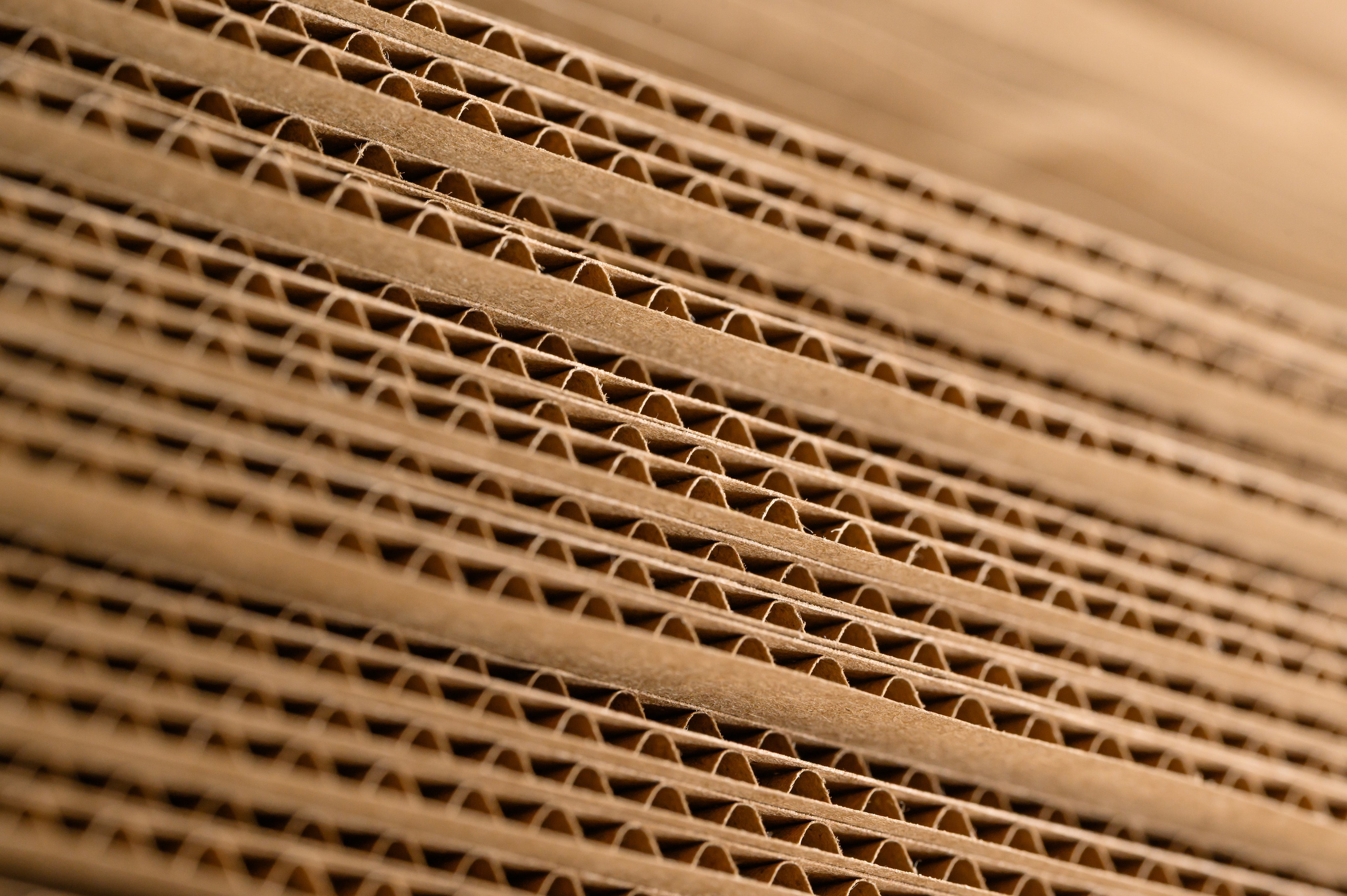 Проекты. Профессиональный фотограф Вячеслав Плацында | Липецк |