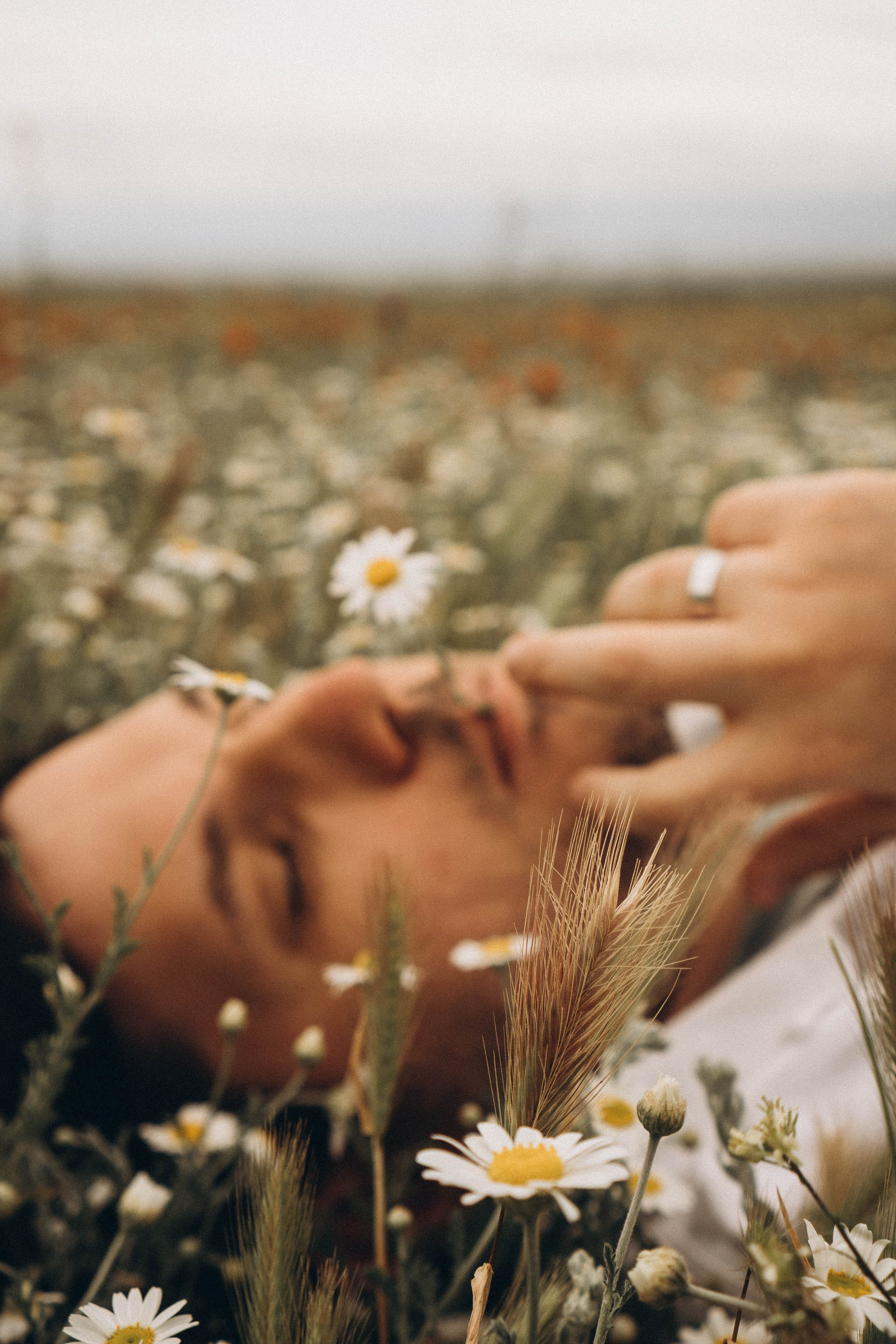 Маки. Профессиональный фотограф, Санкт-Петербург — Виктория Богомолова