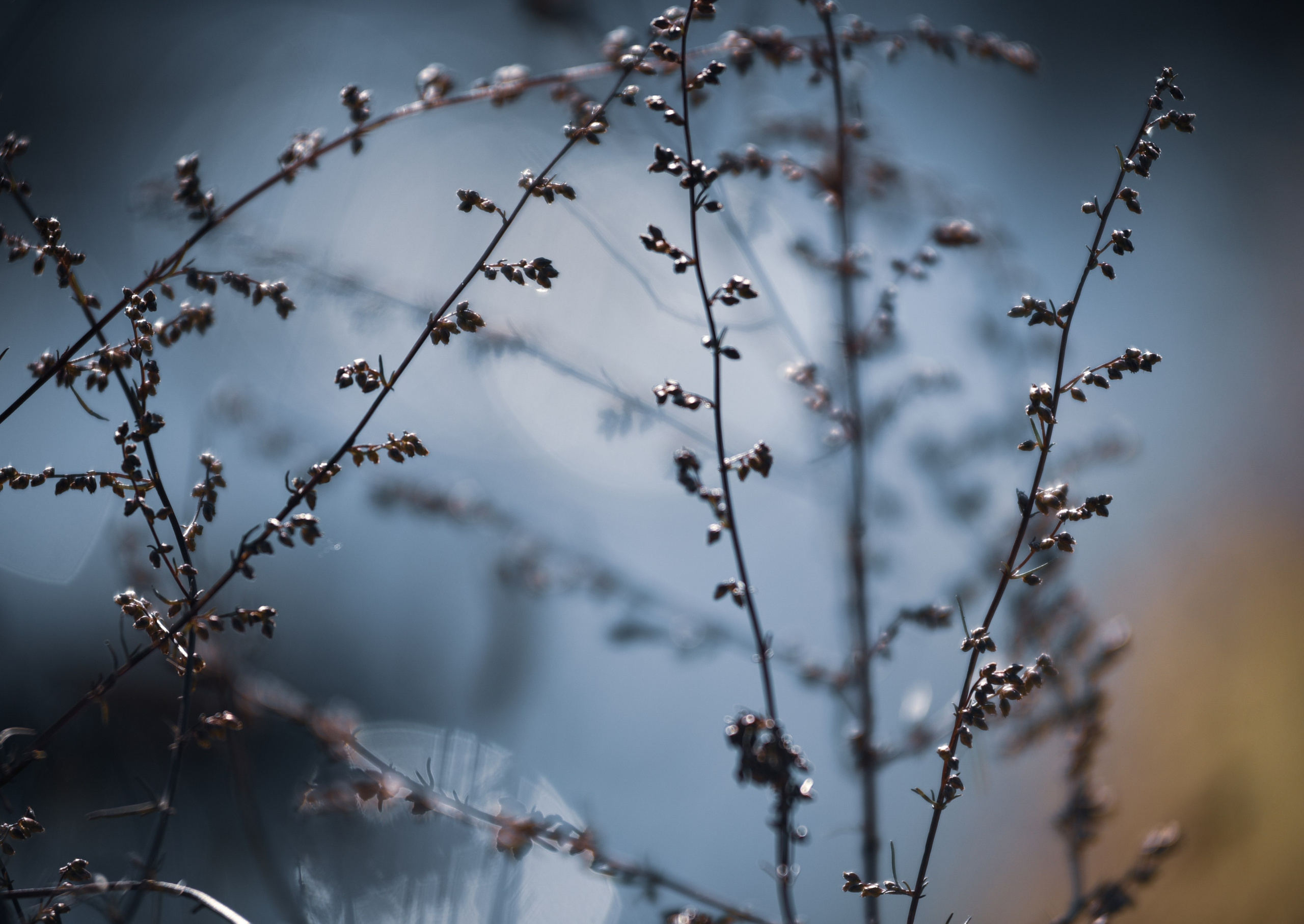 Nature. Anastasia Serdyuk, travel photographer, travel photo, portraits, stories, fineart prints