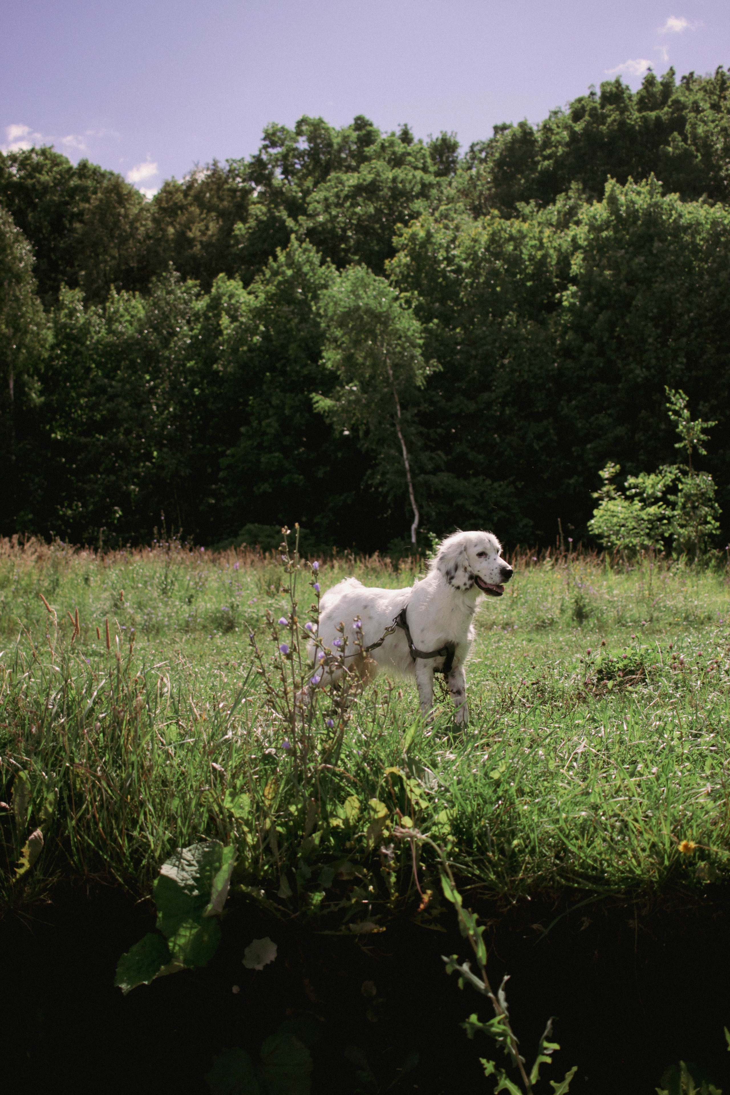 Yura and LosK. Фотограф в Казани / Регина Суфиянова