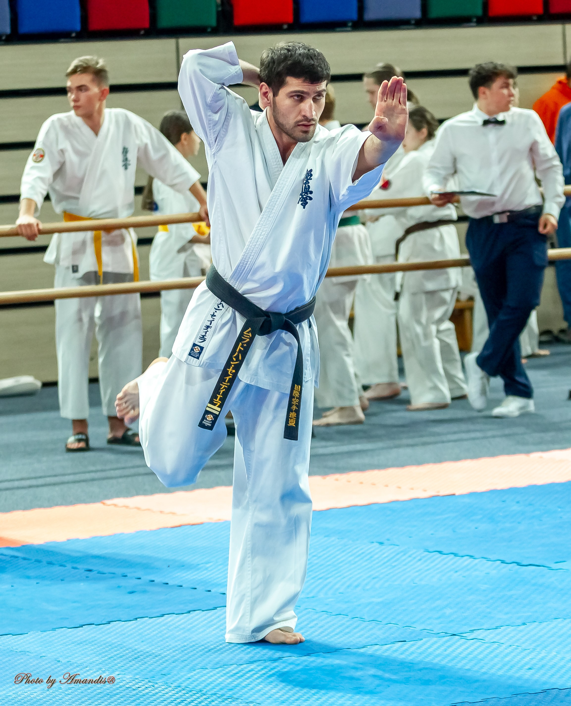 Первенство Московской области по Киокушин в СК «Жаворонки». Репортажная съемка в Москве и области. Анималистика