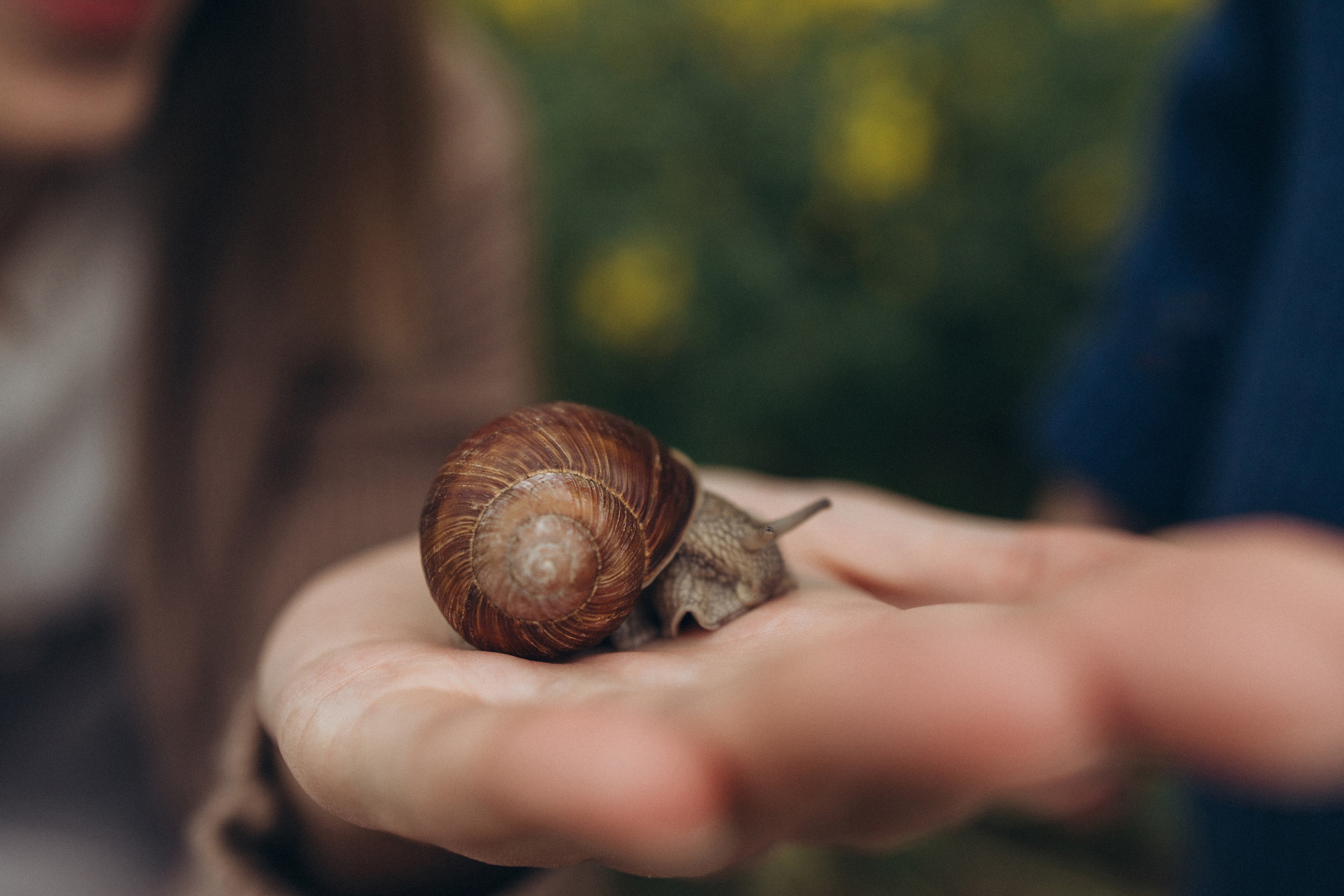 После дождя. Фотограф Елена Рябцева