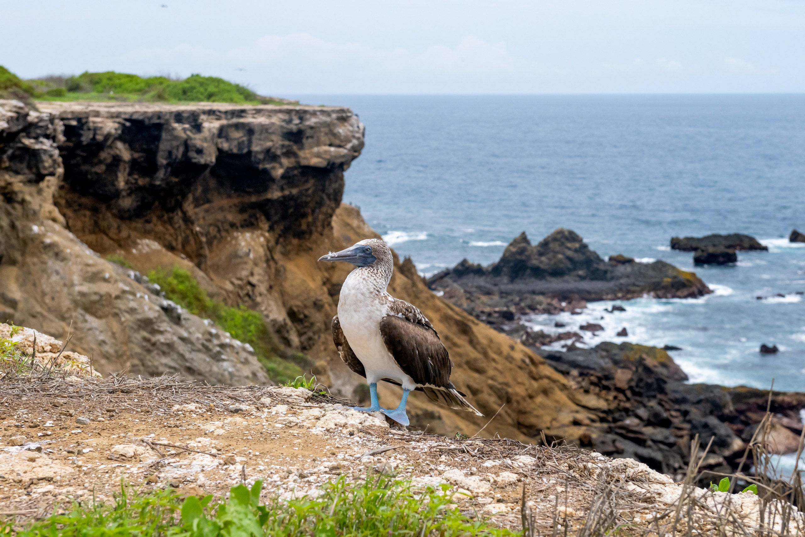 Пейзажный фотограф, Фотографии дикой природы. Foto-Zuev фотография как искусство