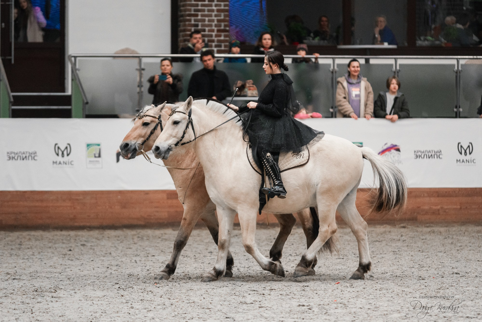 8-я международная выставка Конная Россия. Конный фотограф Куракина Дарья • Фотосессии с лошадьми