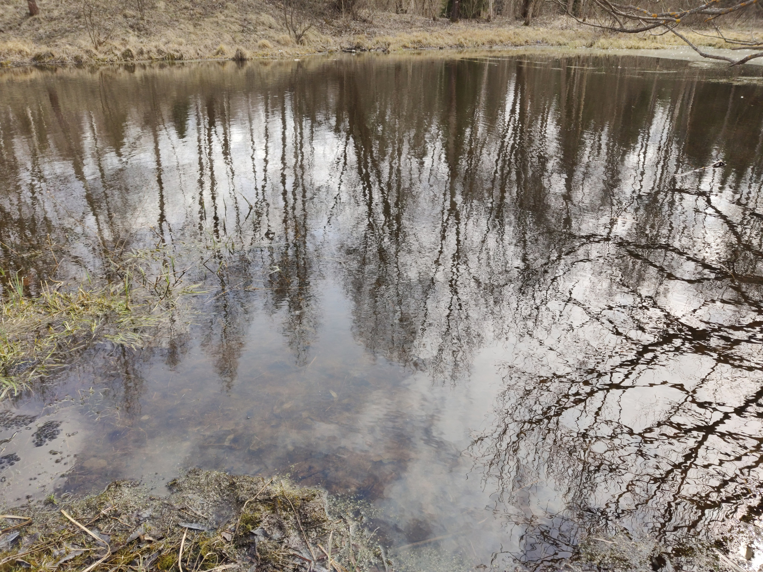 Фото Природы Забайкалья. Студия Максима Белослюдцева