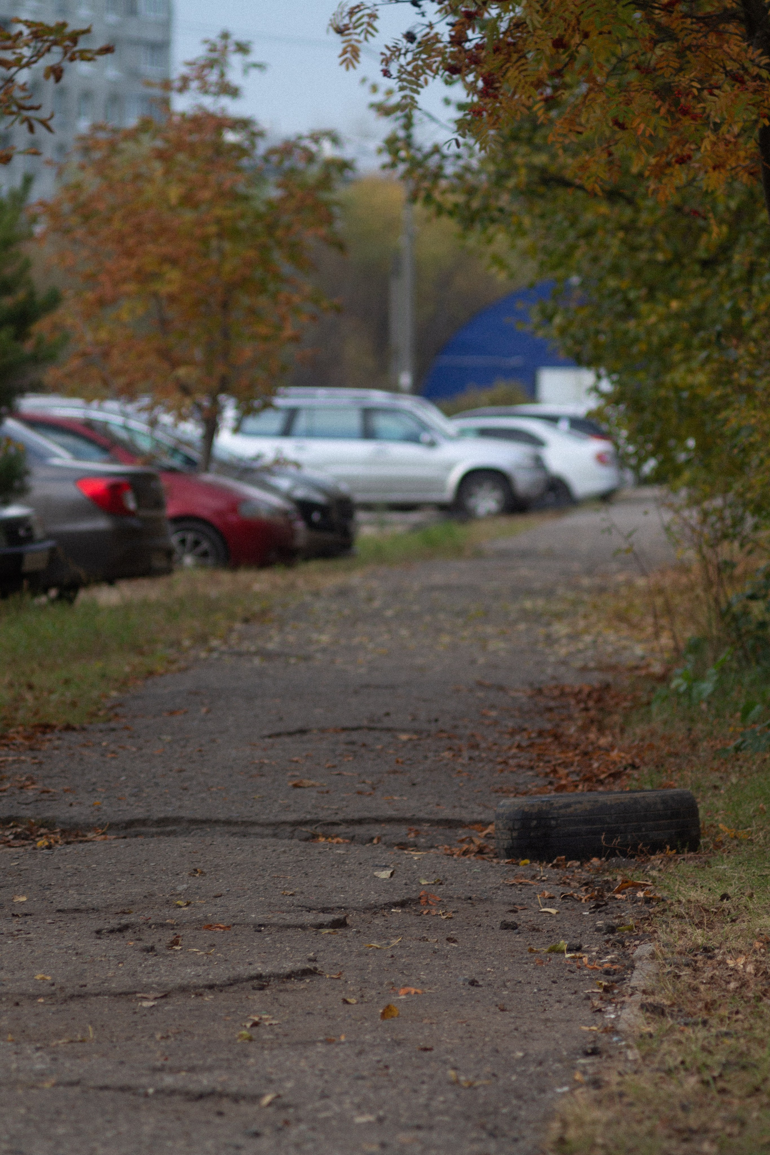 Автозаводский закат. Фотограф Мурманск | Нижний Новгород • Анна Хижняк