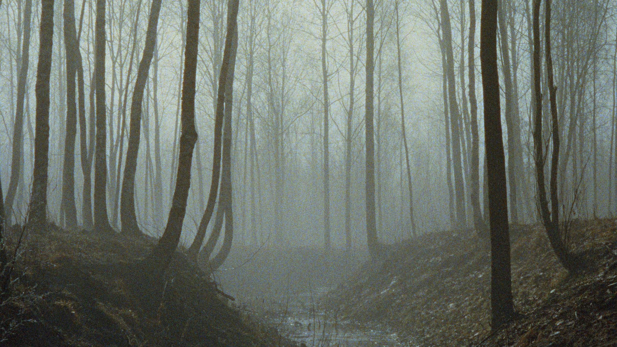 Документальный фотограф Роман Золотков. ZOLOTKOV — Барбер в Санкт-Петербурге Роман Золотков