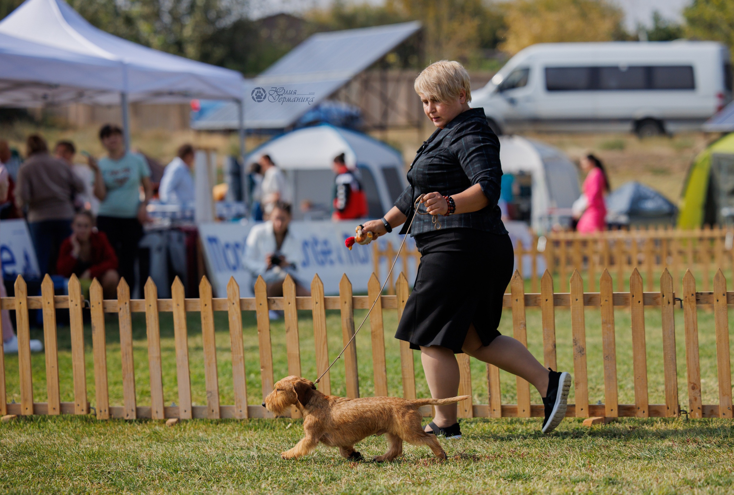 Армения,Ереван 3хCACIB 15-17.10.2024. Фотограф-анималист Юлия Германика