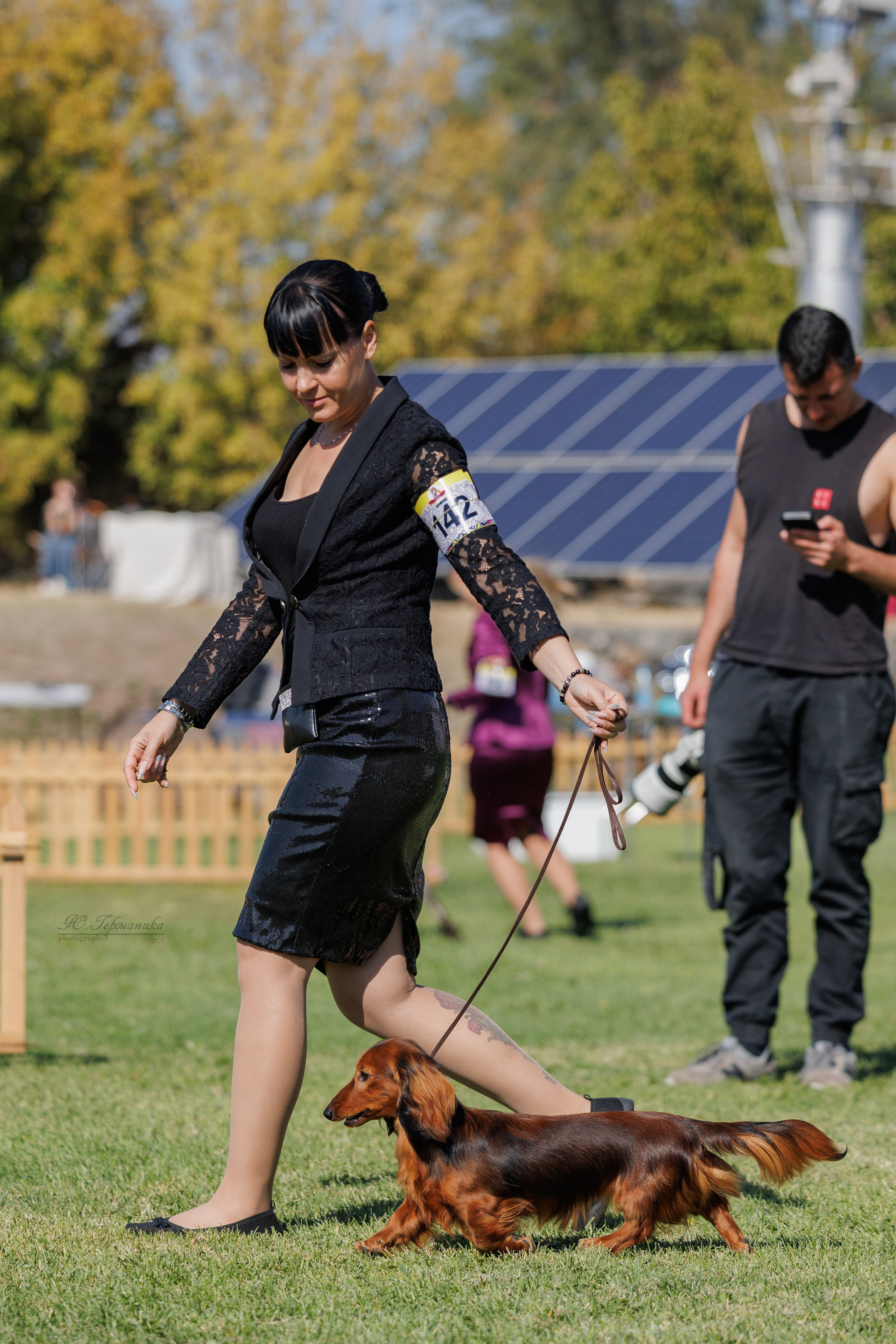 Ереван 14-16.10.2025. Фотограф-анималист Юлия Германика