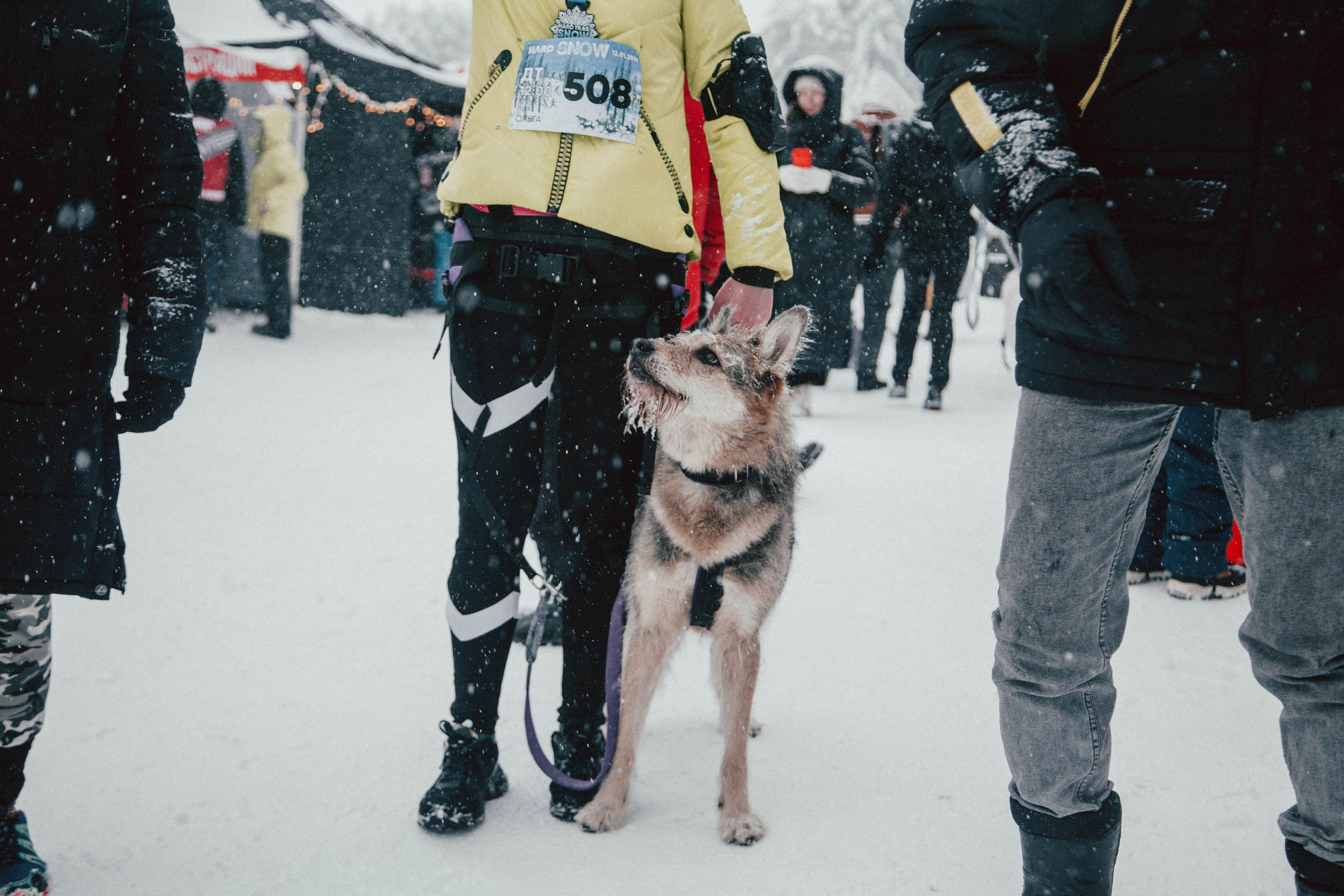 HARD TRAIL в Суоранде. Репортажный фотограф во Всеволожске и Санкт-Петербурге Владимир Капустин