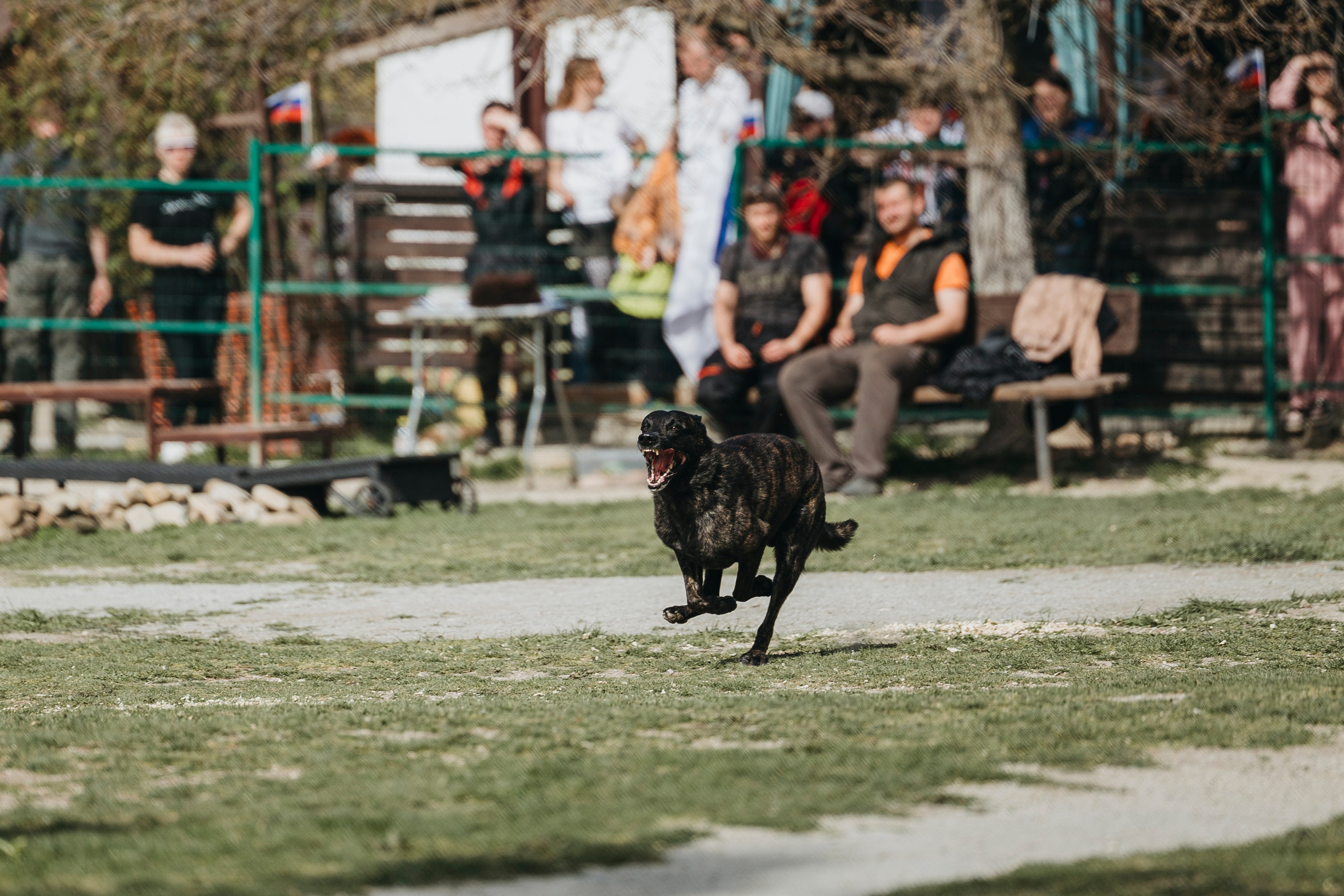 Геленджик Мондьоринг. Фотограф-анималист Анна Маринич