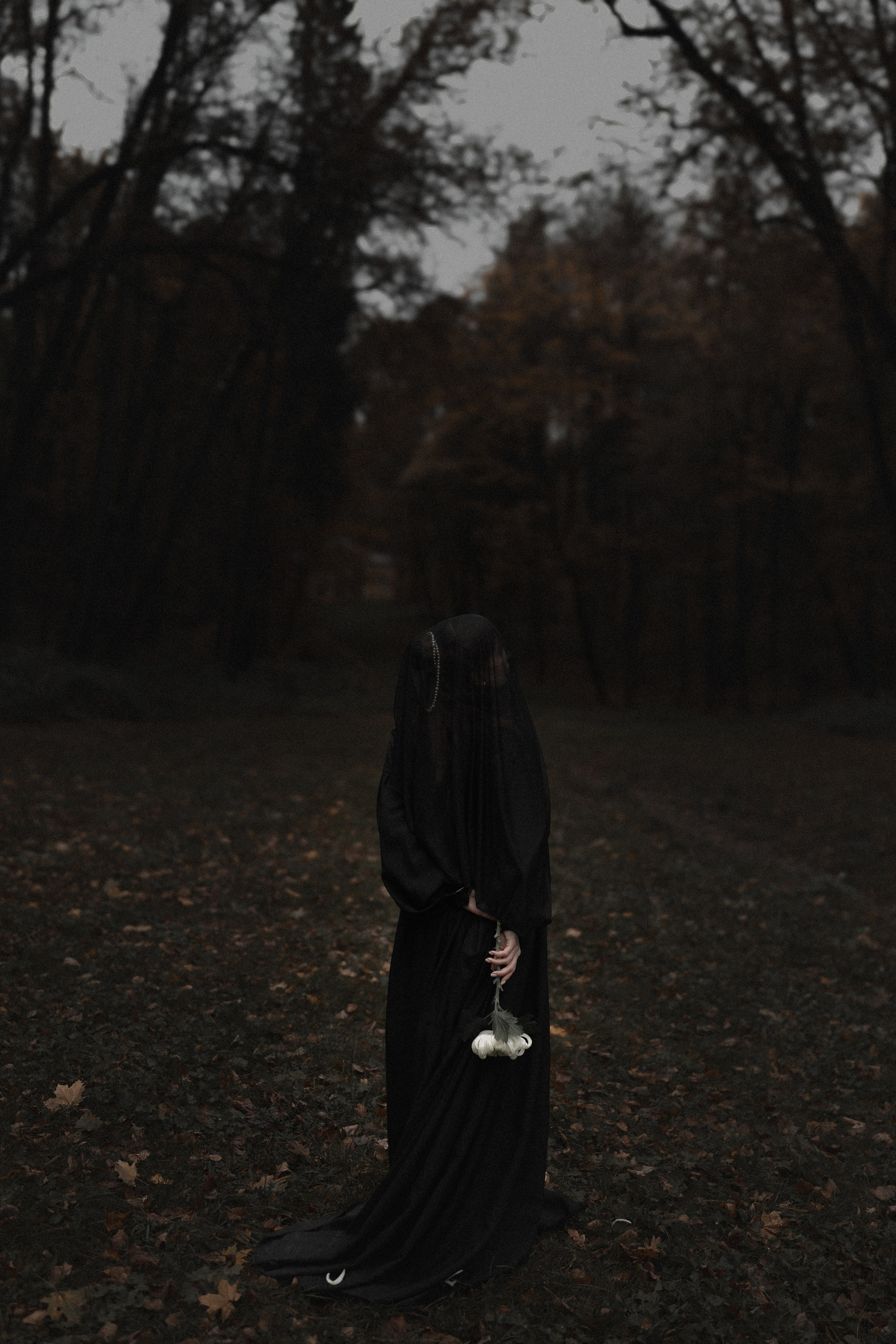 «Дама с вуалью». Твой проводник в мир ушедших эпох, романтики и женственности