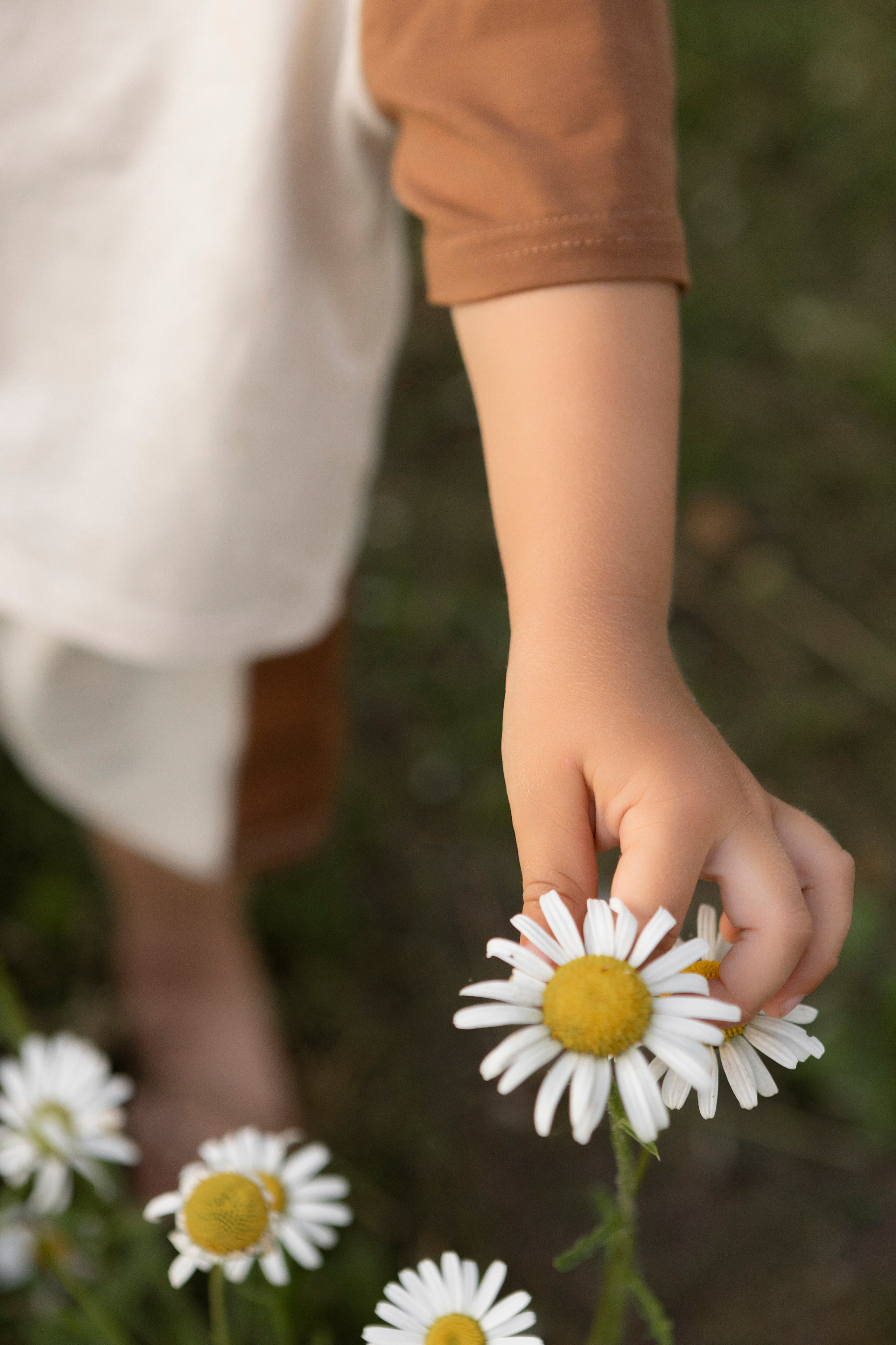 Марина с семьёй. Фотограф Лесозаводск/Хабаровск