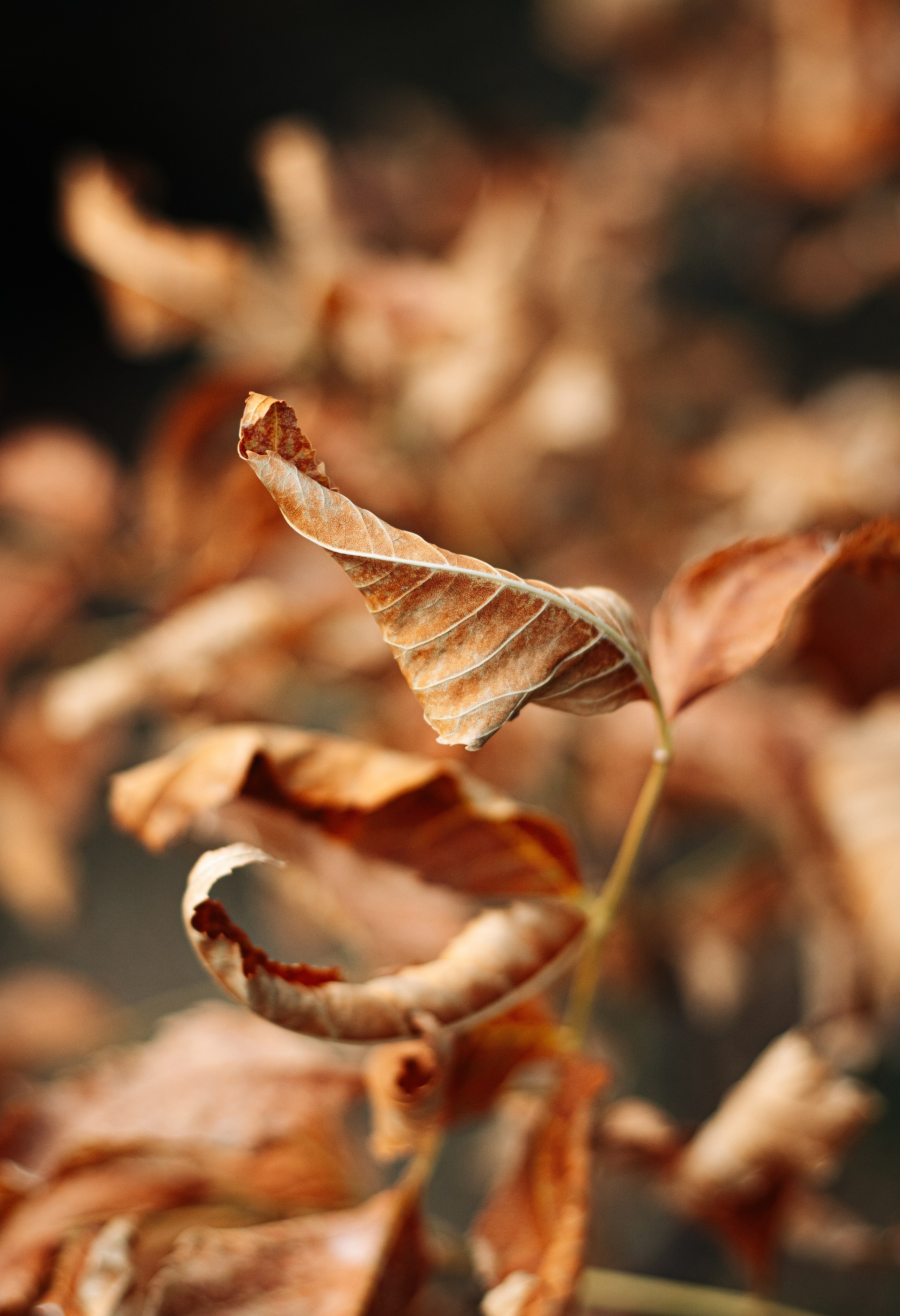 Жизнь. Фотограф Алматы | Весь мир — Никита Колодин