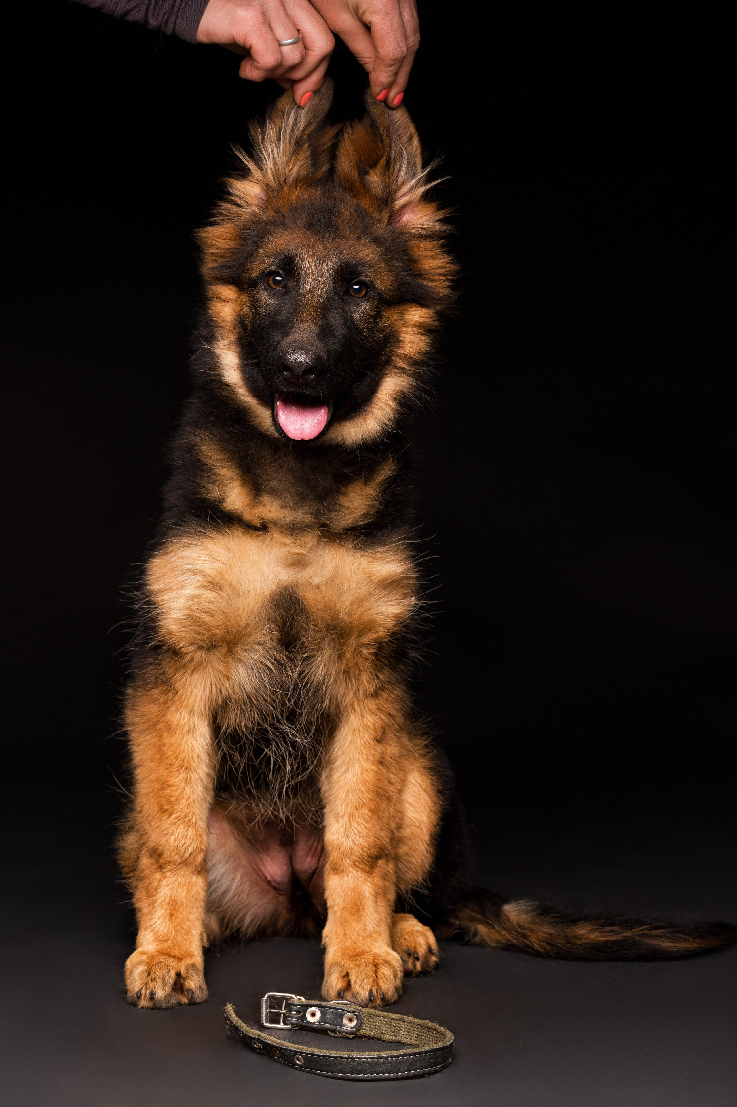 Студийные съемки. Портретный фотограф в Челябинске Катерина Руди