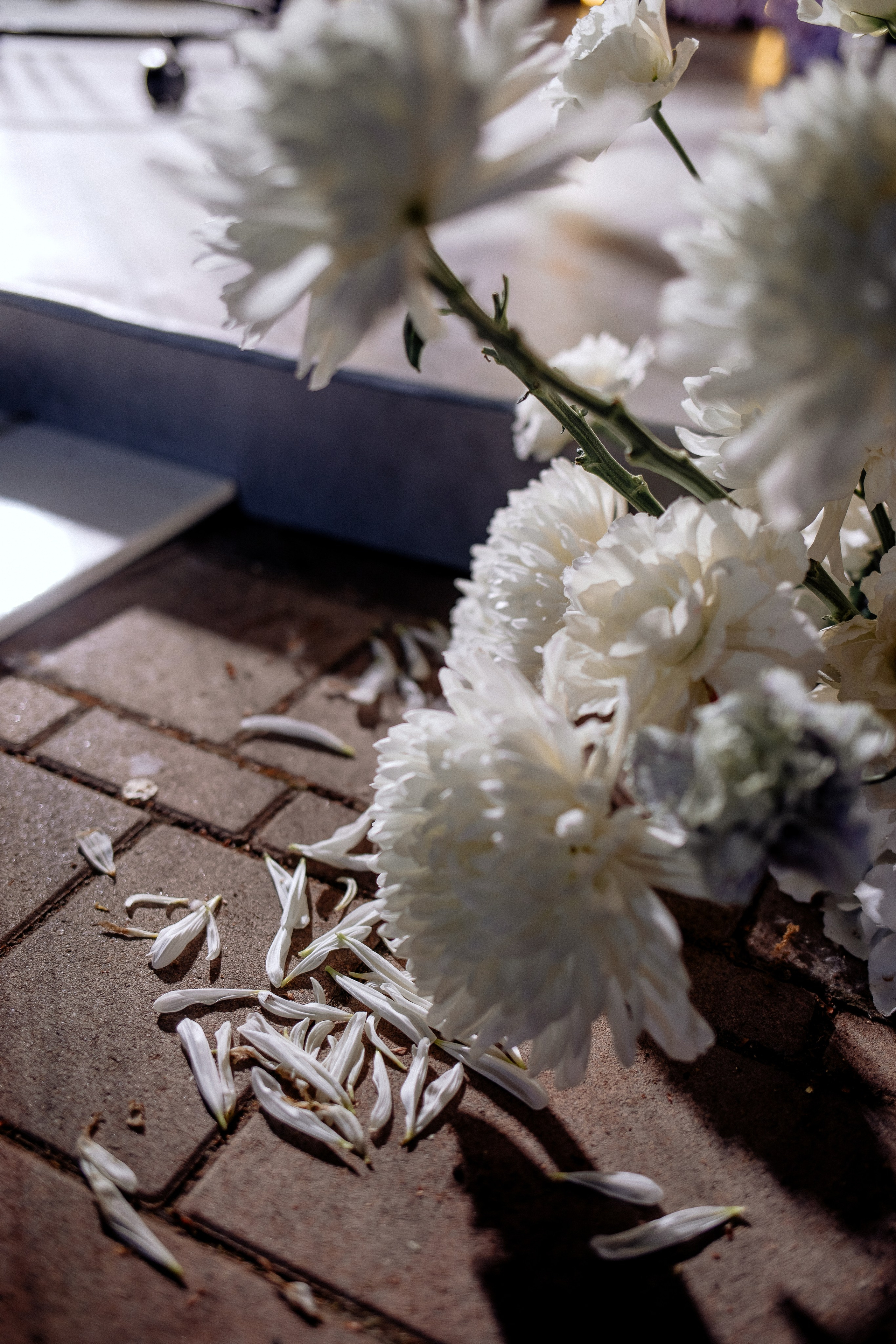 Никита и Ксения. Свадебный фотограф в Саратове Симашова Ирина