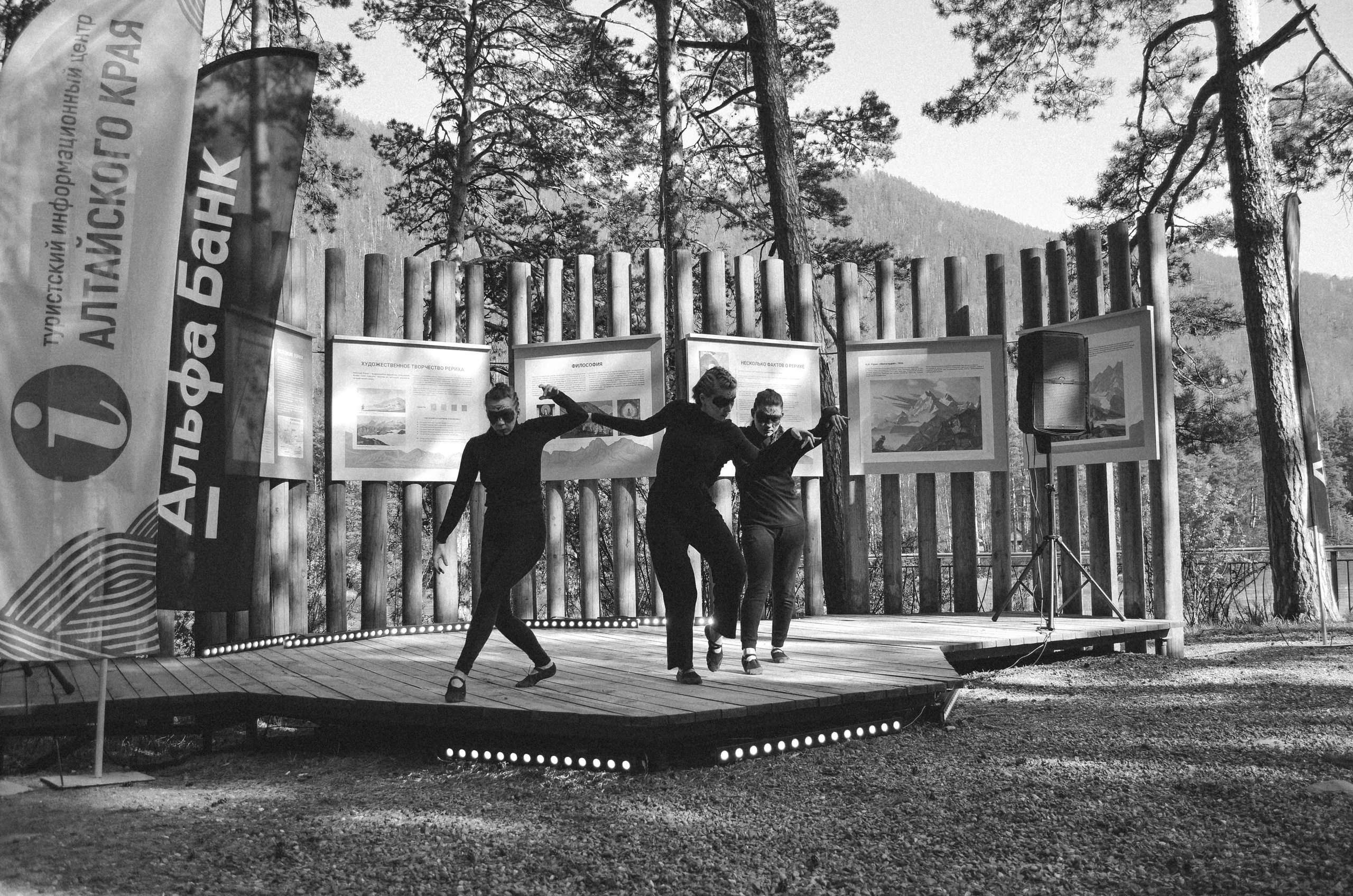 Фестиваль «Цветение Маральника на Алтае 2025». Фоторепортаж. Денисова Аля — фотограф для парных съемок и индивидуальных историй в Барнауле