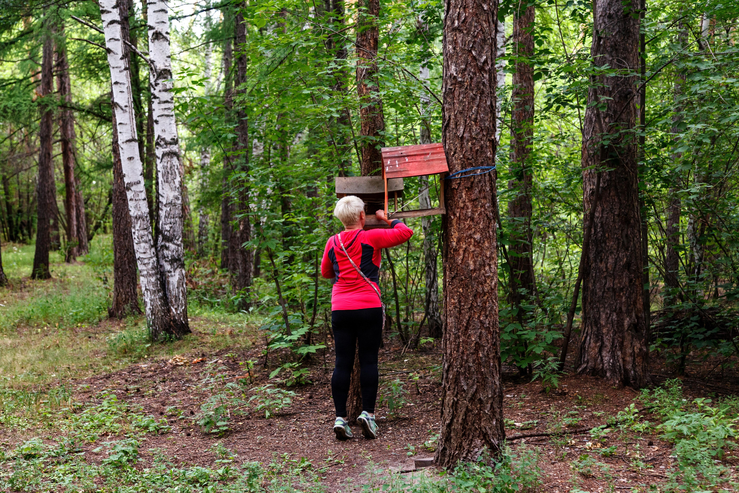 Белки / Squirrels. Фотограф Андрей Гузеев
