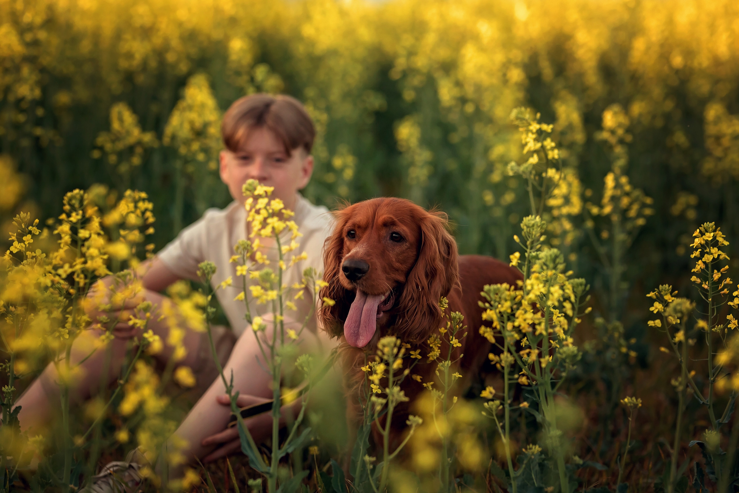 Рапс. Семейный и детский фотограф Екатерина Савёлова