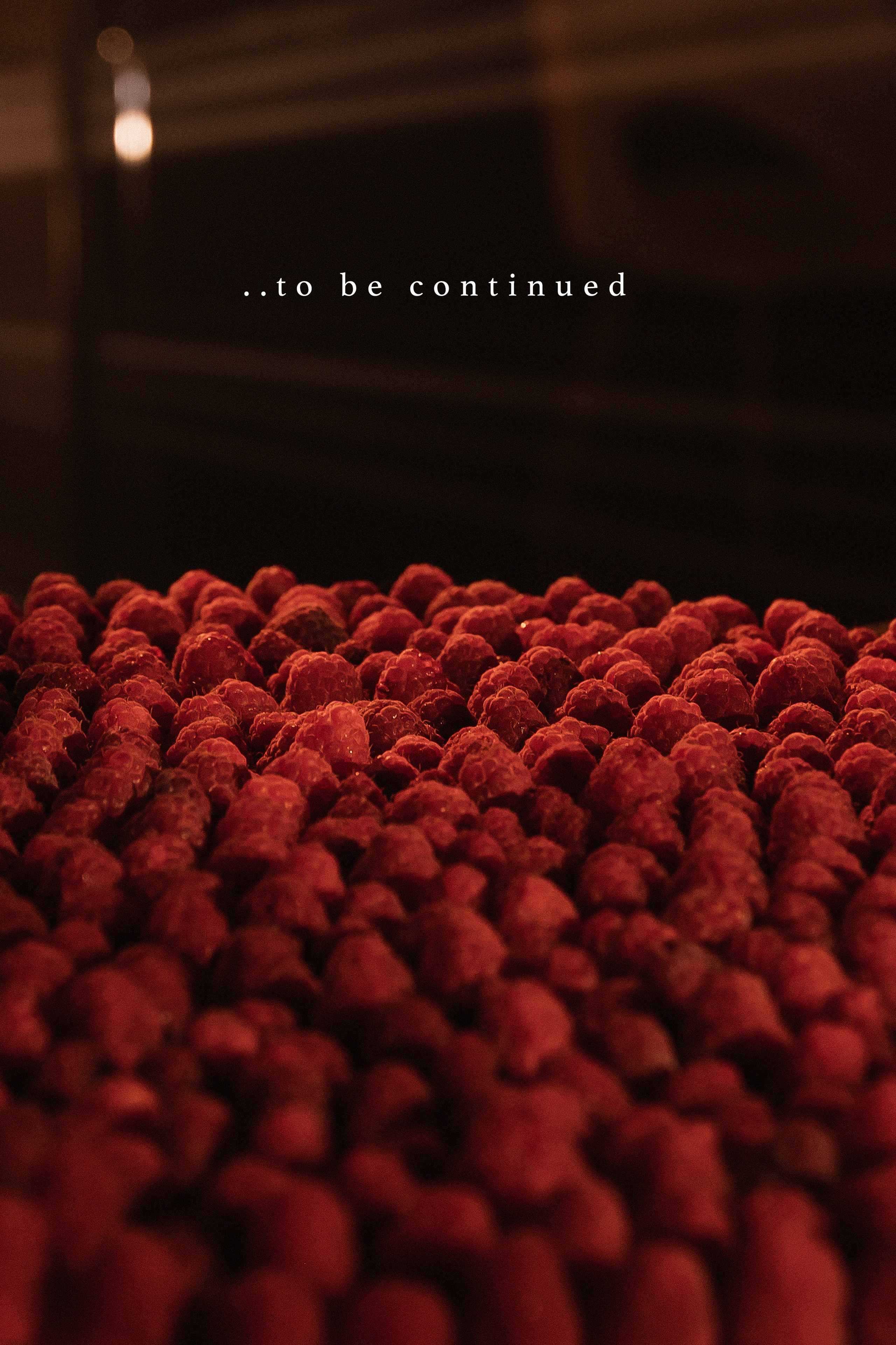 ANONS. Мария — Свадебный фотограф