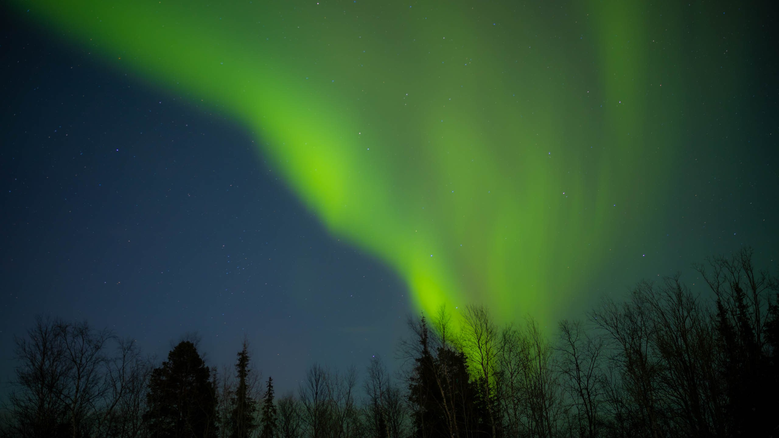 Мурманск, северное сияние, aurora borealis