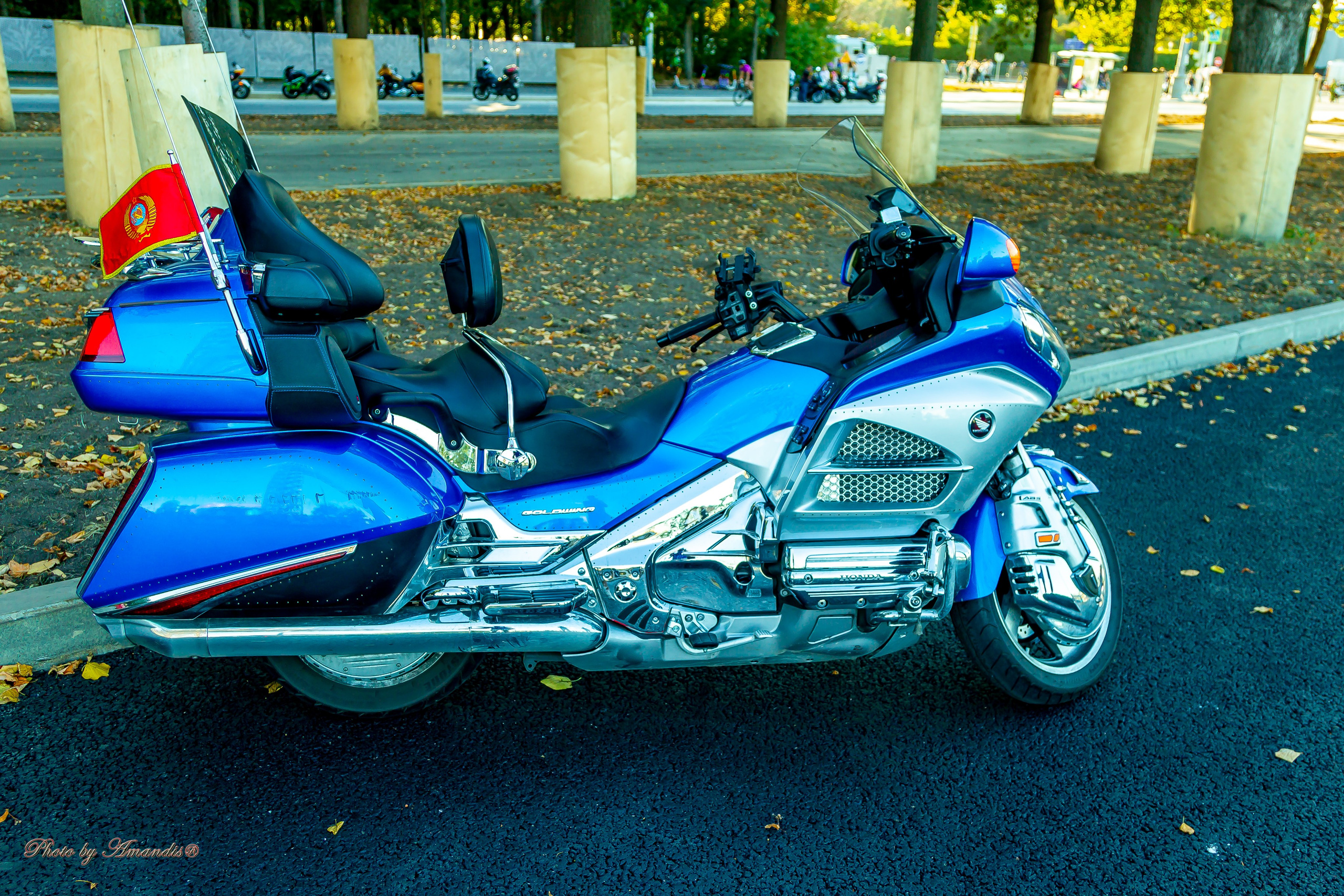 ЗАкрытие мотосезона 2024. Репортажная съемка в Москве и области. Анималистика