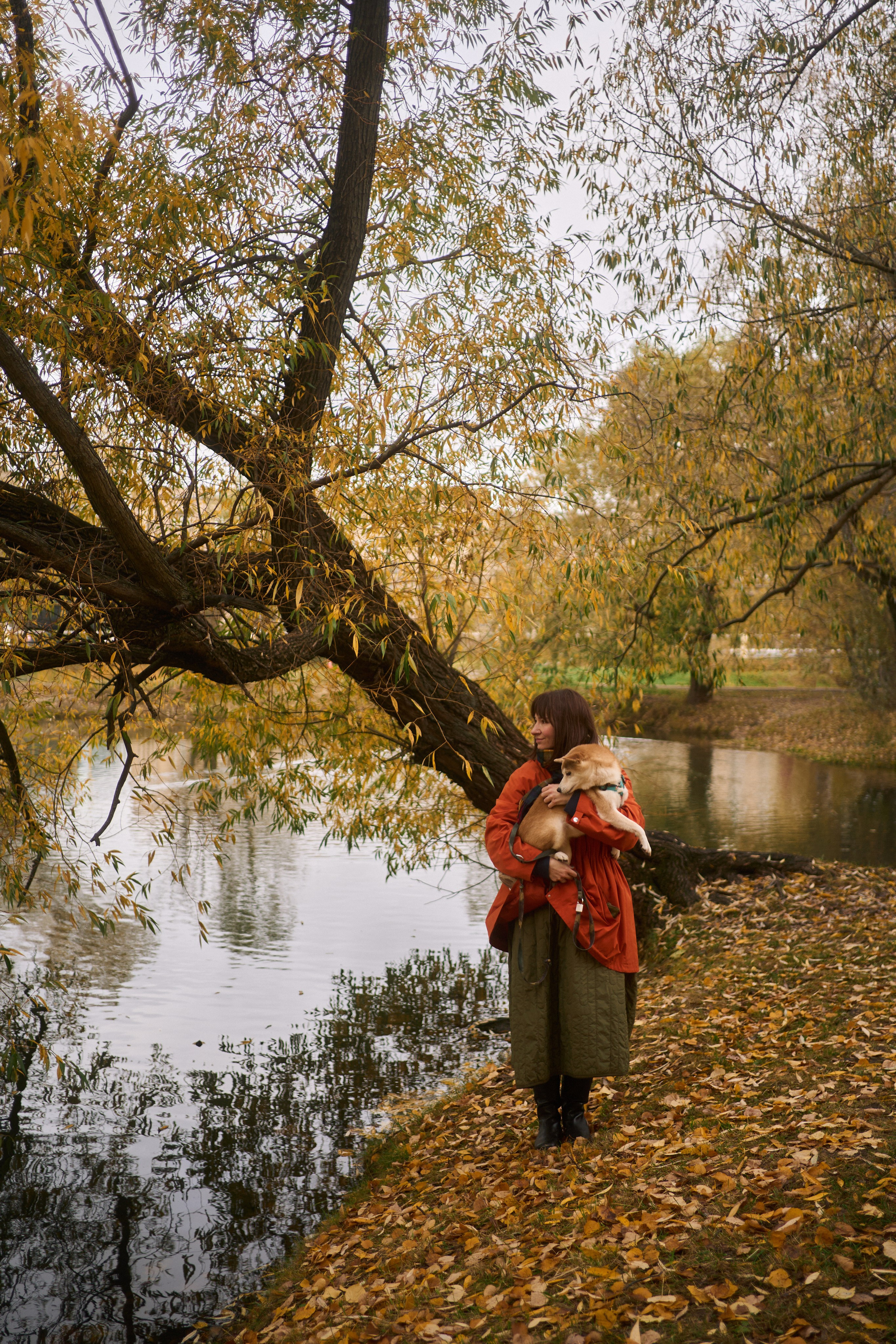 Осенние Уши. Фотограф анималист Москва Дарья