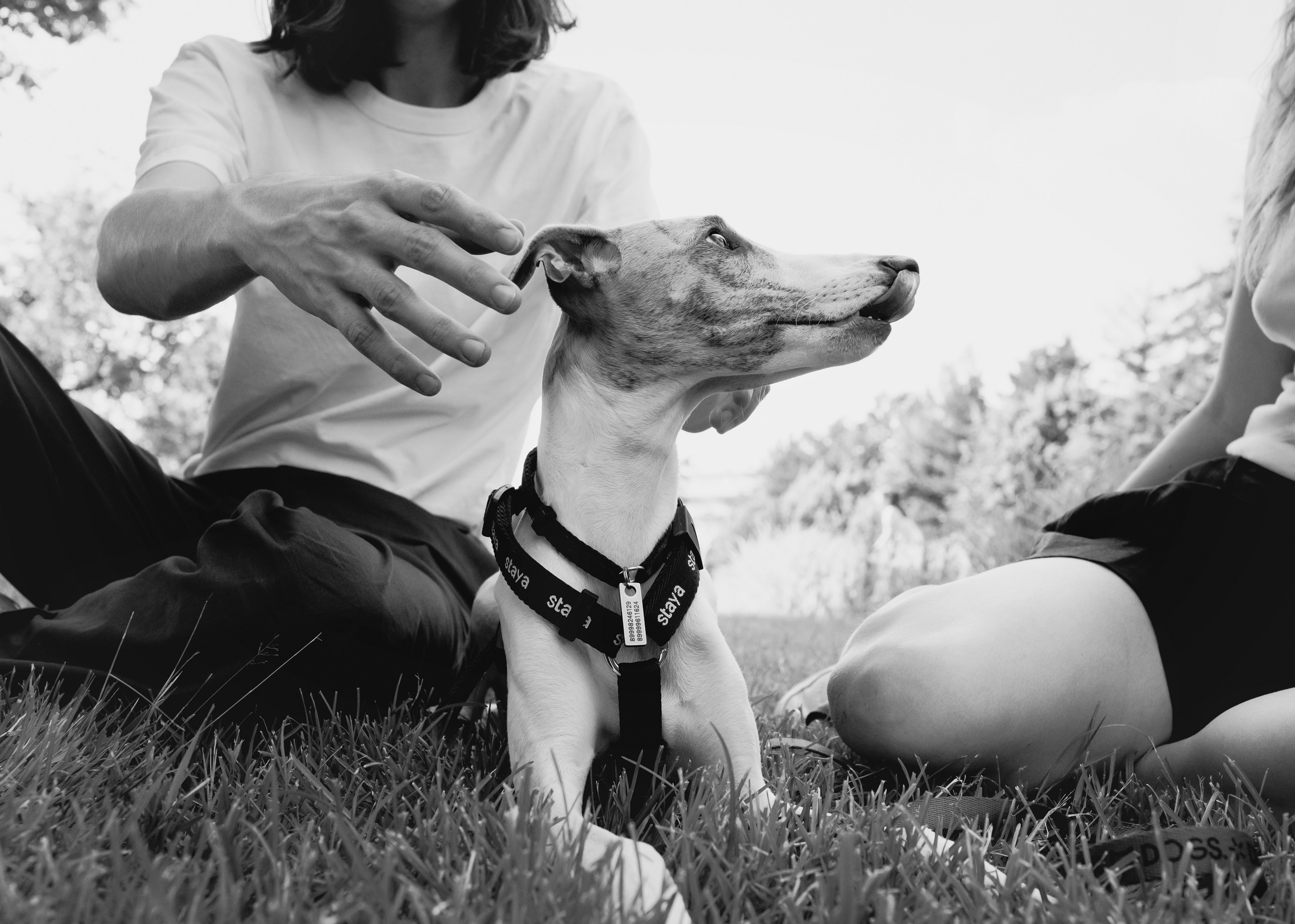 Ветка. Фотограф- анималист Александра Матвеева