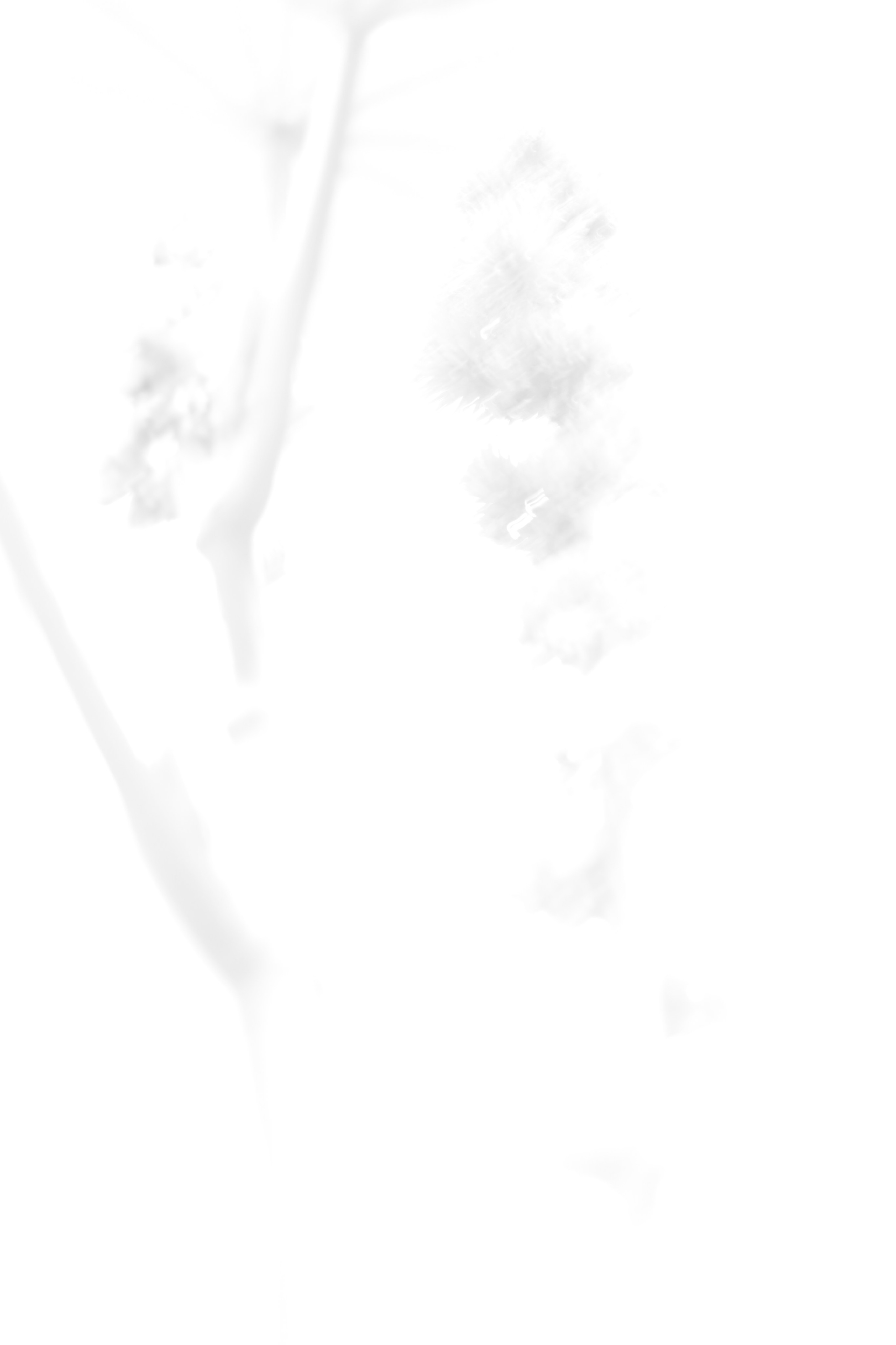 Art. Арт — фотограф Евгений Наймушин Новокузнецк