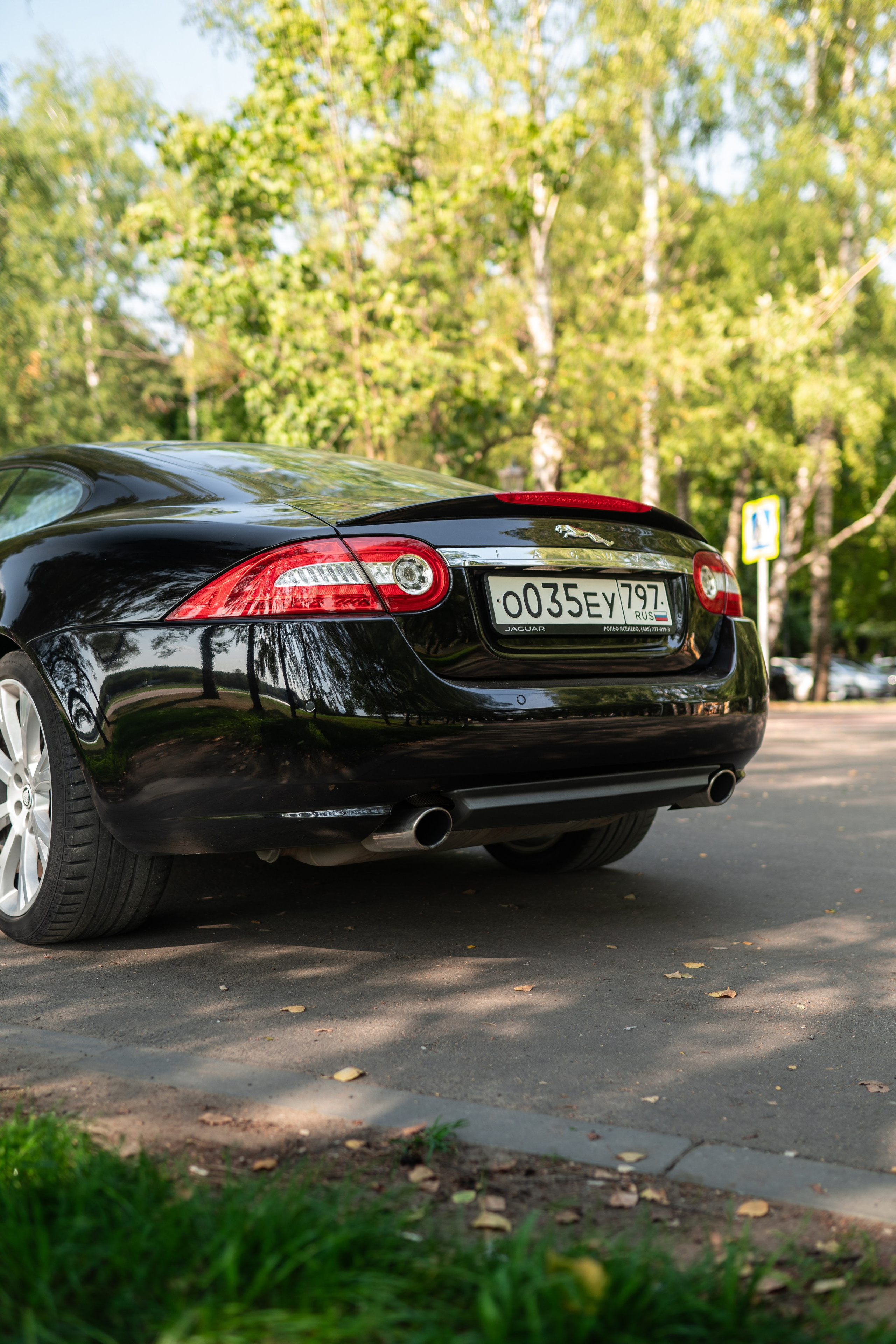 Jaguar Xk. Mirllaev