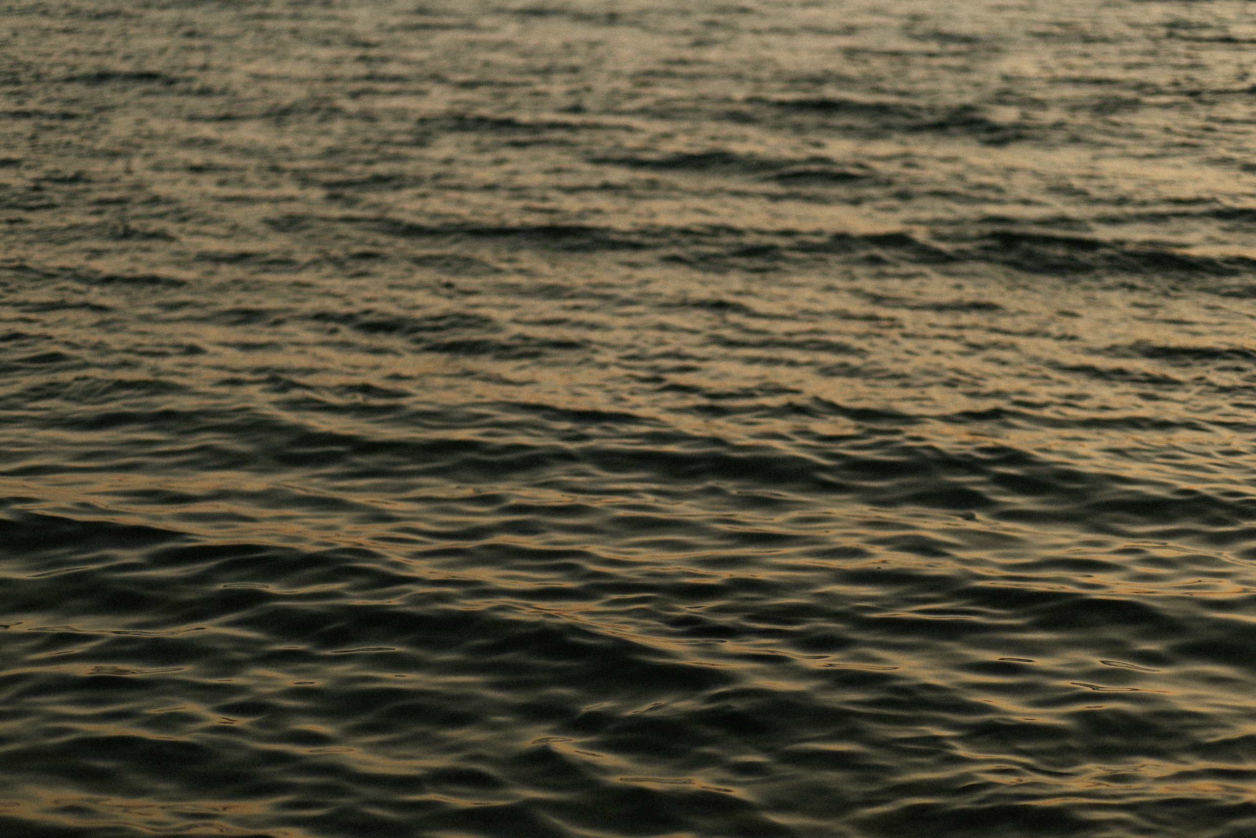 Соленое вино. Свадебный фотограф в Москве Николай Болт