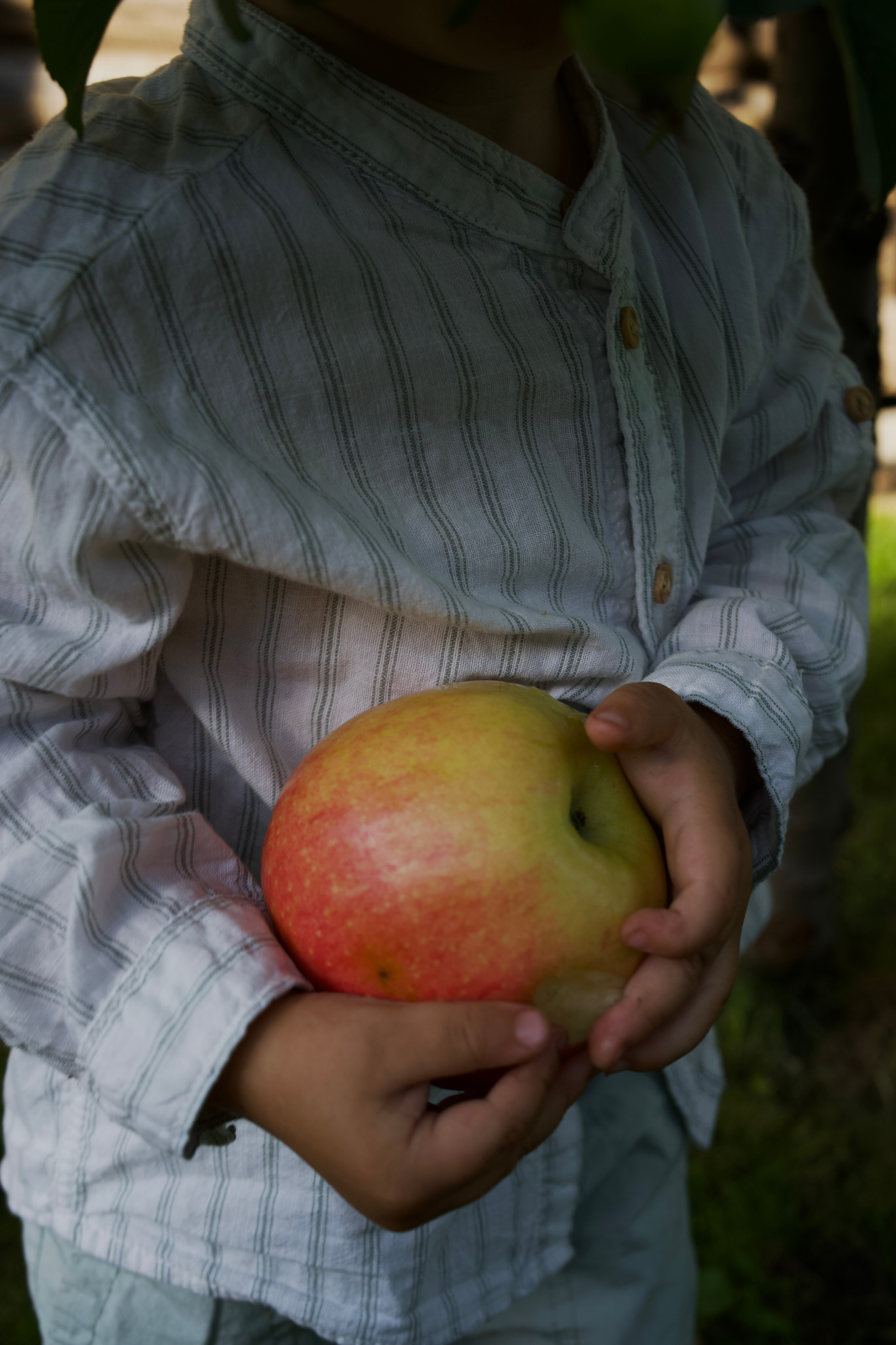 Family. Ваш фотограф Ангелина на Пхукете 🖤