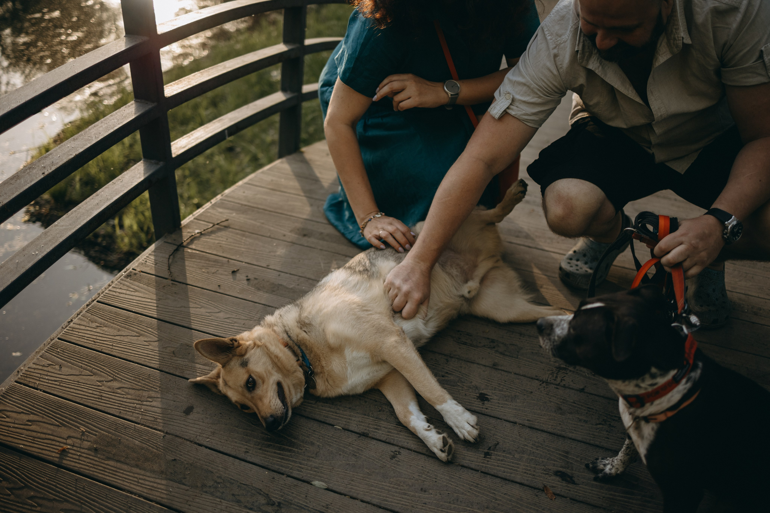 Татьяна, Сергей и их Булочка и Пончик. Фотограф — Анималист | Санкт-Петербург
