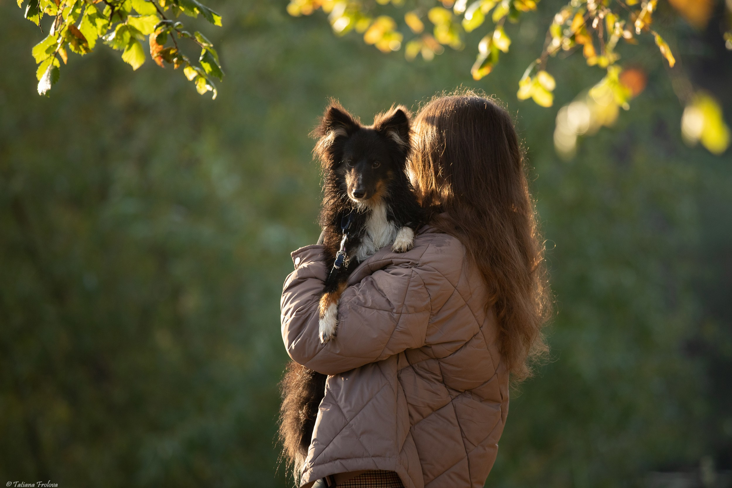 Утренняя фотопрогулка с двумя собаками по Москве. Фотограф-анималист в Москве и Московской области Татьяна Фролова