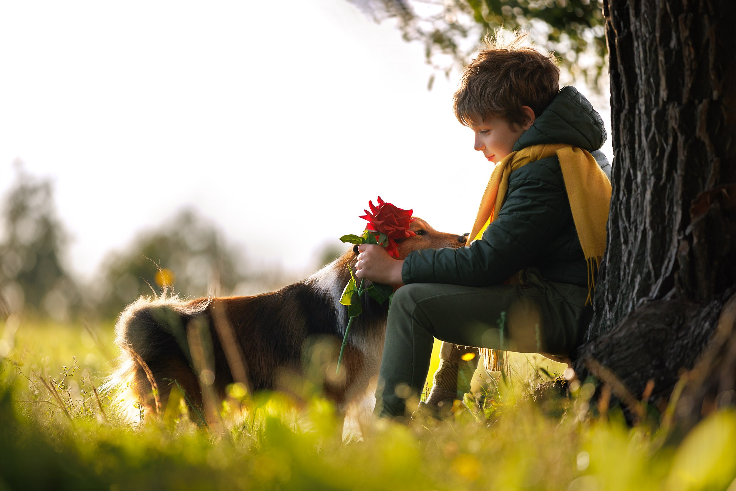 Фотосессия Маленький Принц. Фотограф-анималист в Москве и Московской области Татьяна Фролова