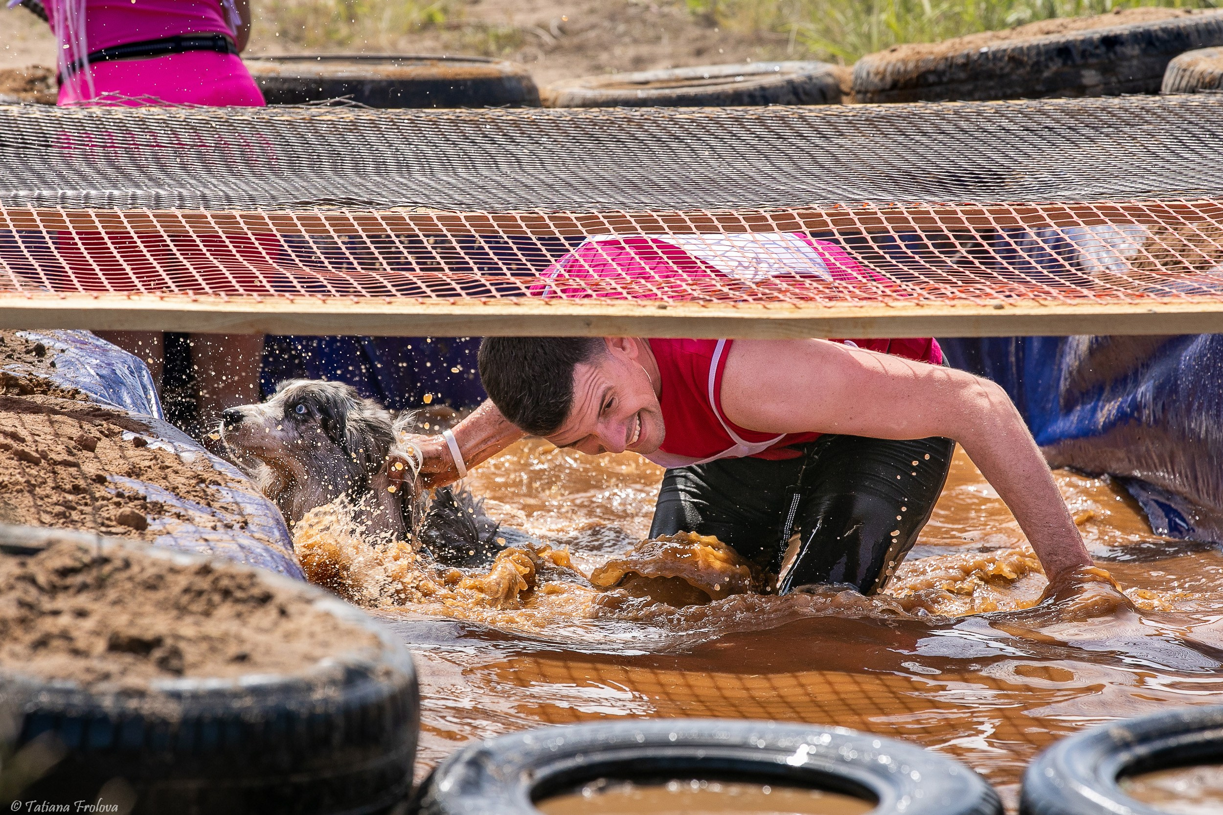 Фоторепортаж с забега с собаками. Фотограф-анималист в Москве и Московской области Татьяна Фролова