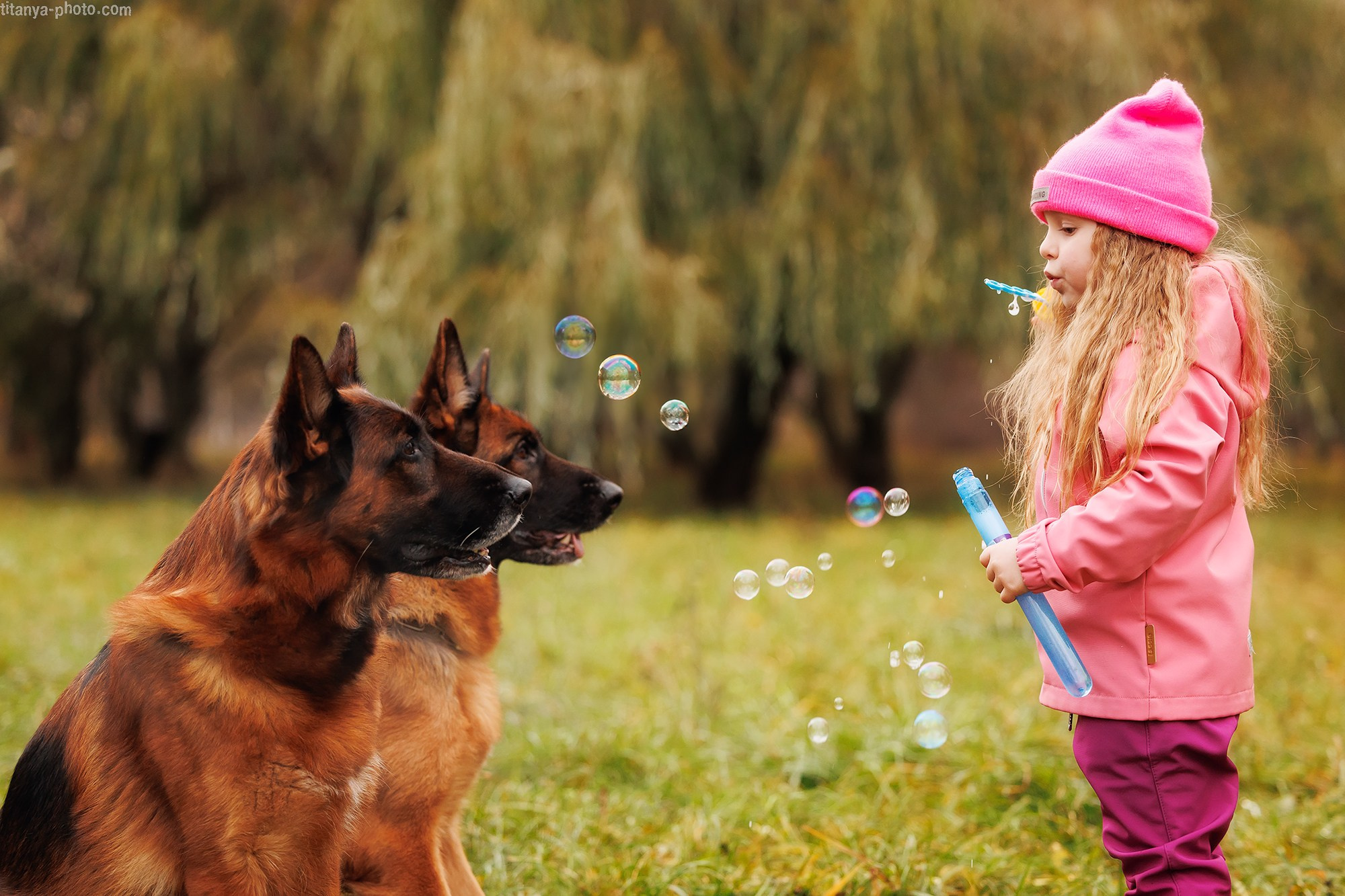 Вика, Даша и их четвероногие друзья: Де Орсе Мак Флай Онли Ю, Устина и Барселона. Фотограф собак, фотограф-анималист Аня Титова (Titanya). Москва