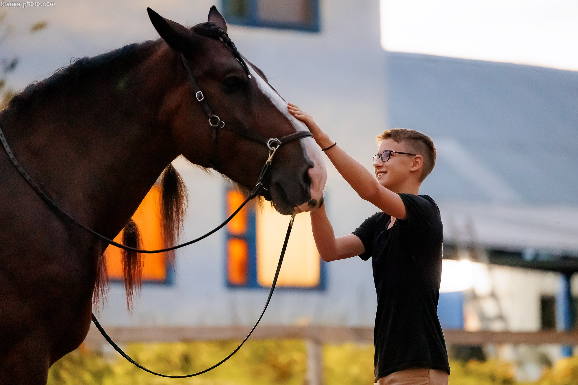 Закатная семейная фотосессия: про Настю и её дружную семью. Фотограф собак, фотограф-анималист Аня Титова (Titanya). Москва