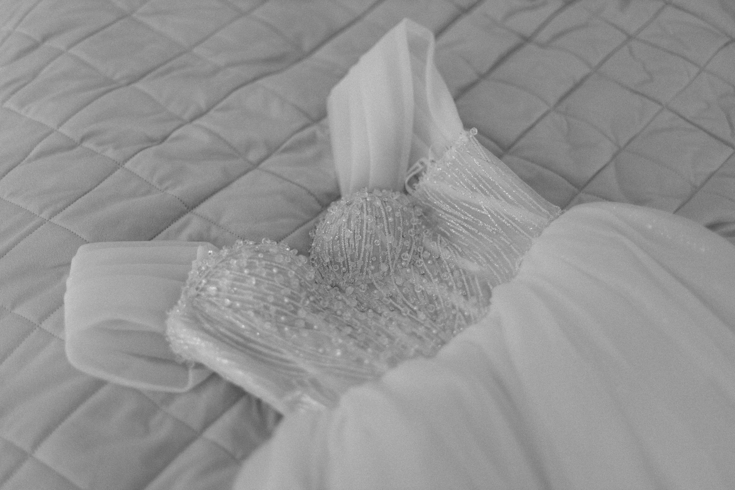 Матвей и Ксения. Свадебный фотограф и видеограф