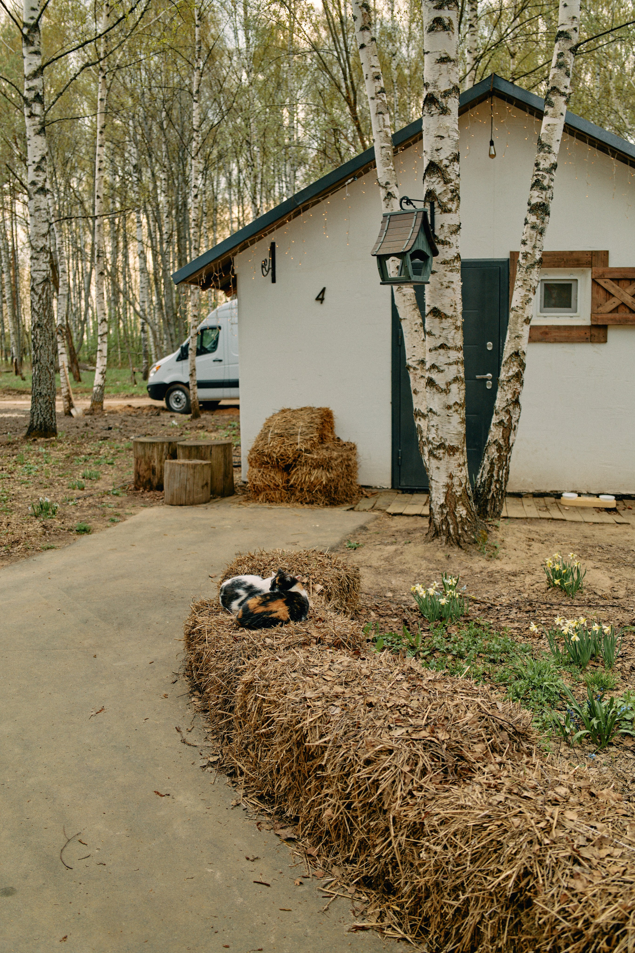Бутик-отель Поле летом. Профессиональный Фотограф во Владимире, в Москве и в Суздале — Полина Романычева