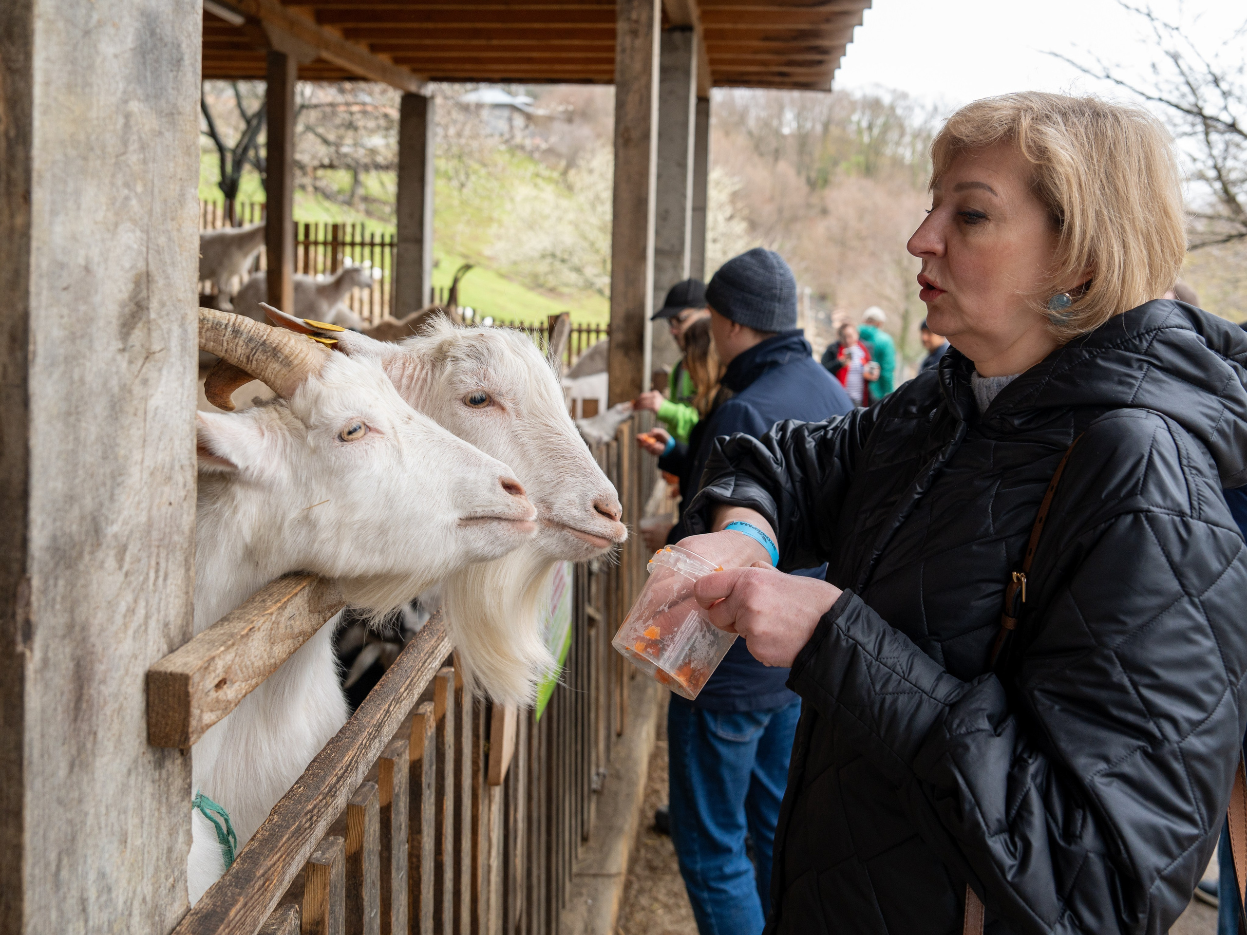MICE мероприятие на ферме Экзархо. Репортажный фотограф в Красной Поляне и Сочи Павлюченко Екатерина