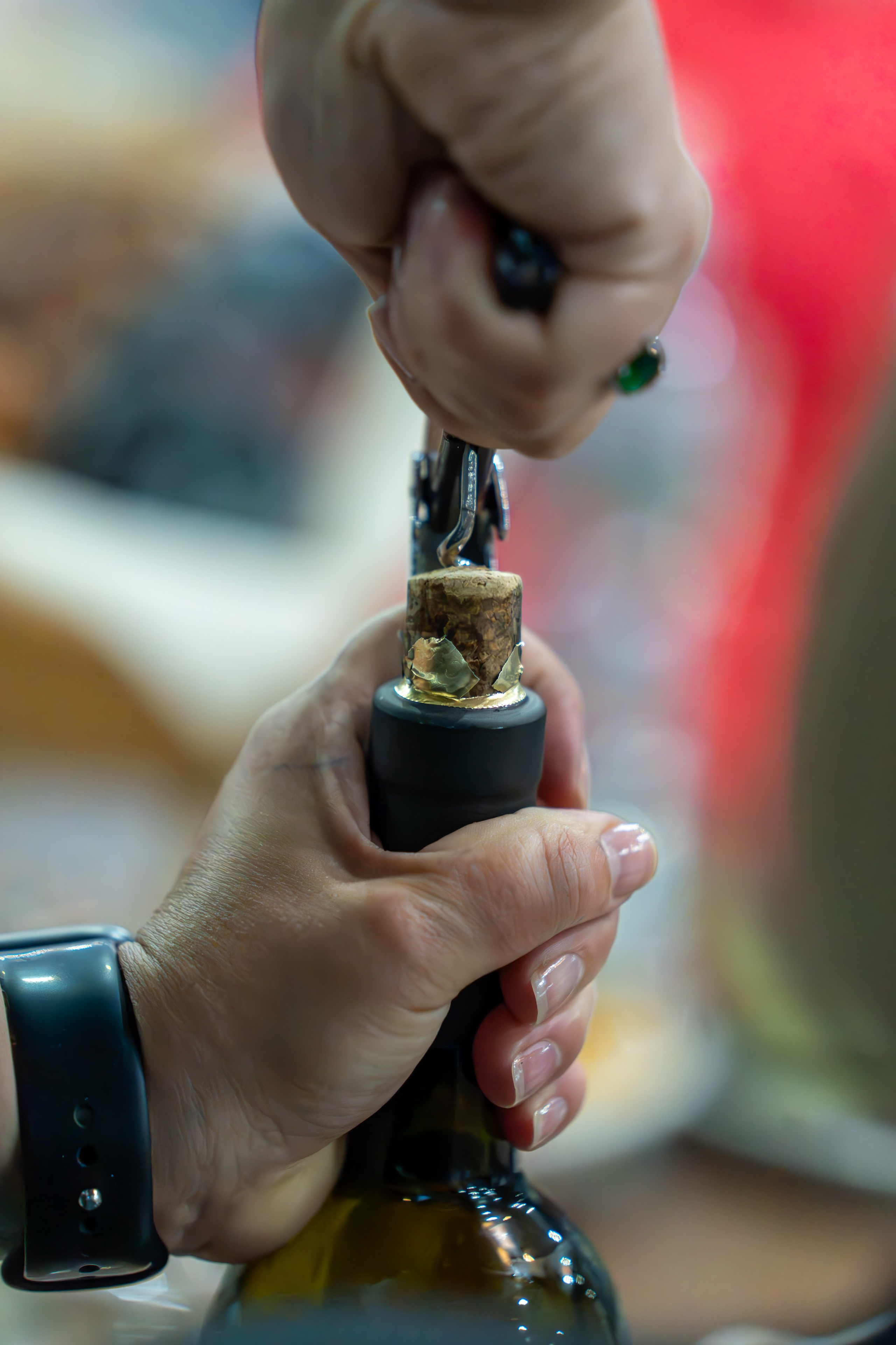 MICE мероприятие — тур по Абхазии. Репортажный фотограф в Красной Поляне и Сочи Павлюченко Екатерина