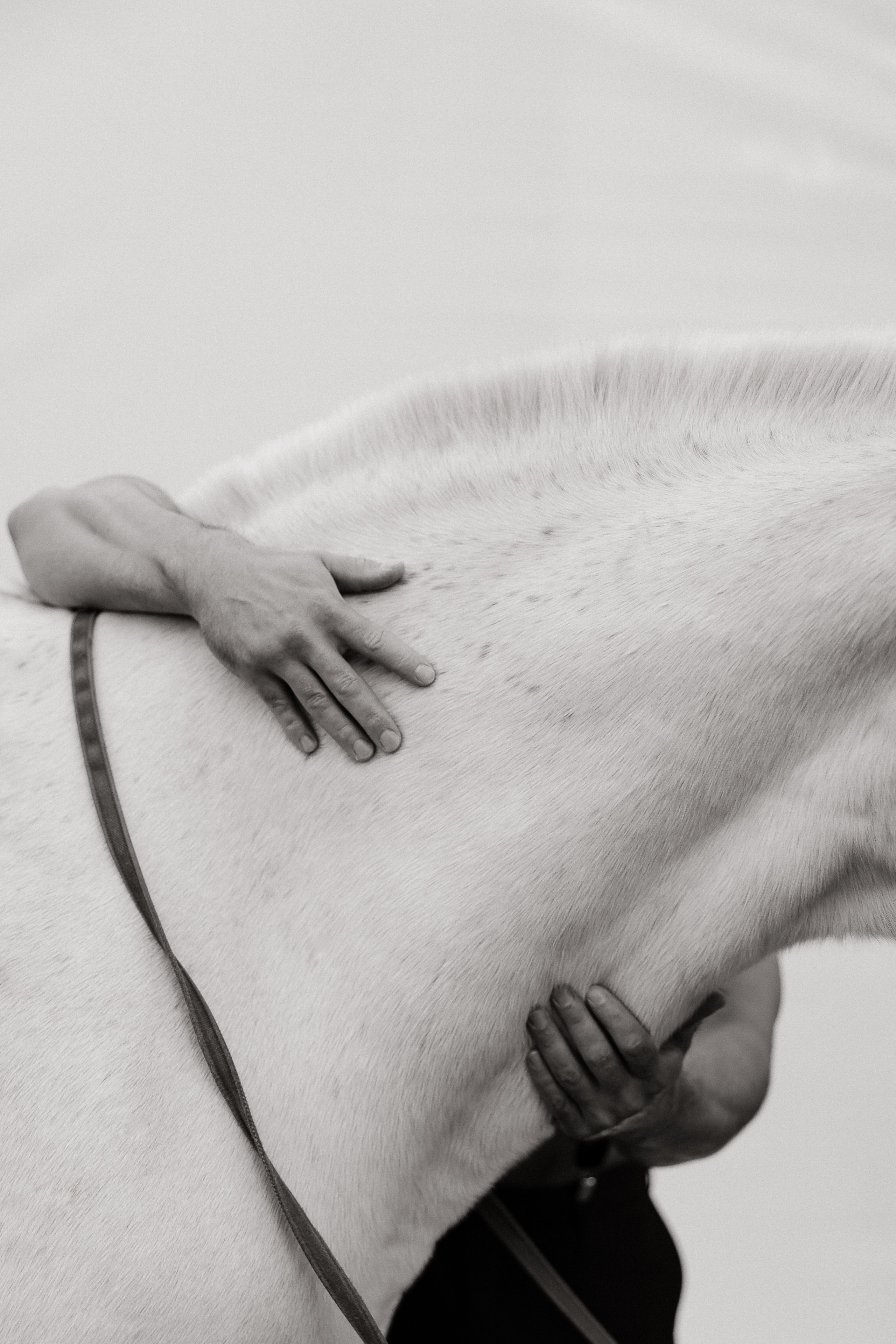 Александр и Кристина. Свадебный | Семейный фотограф