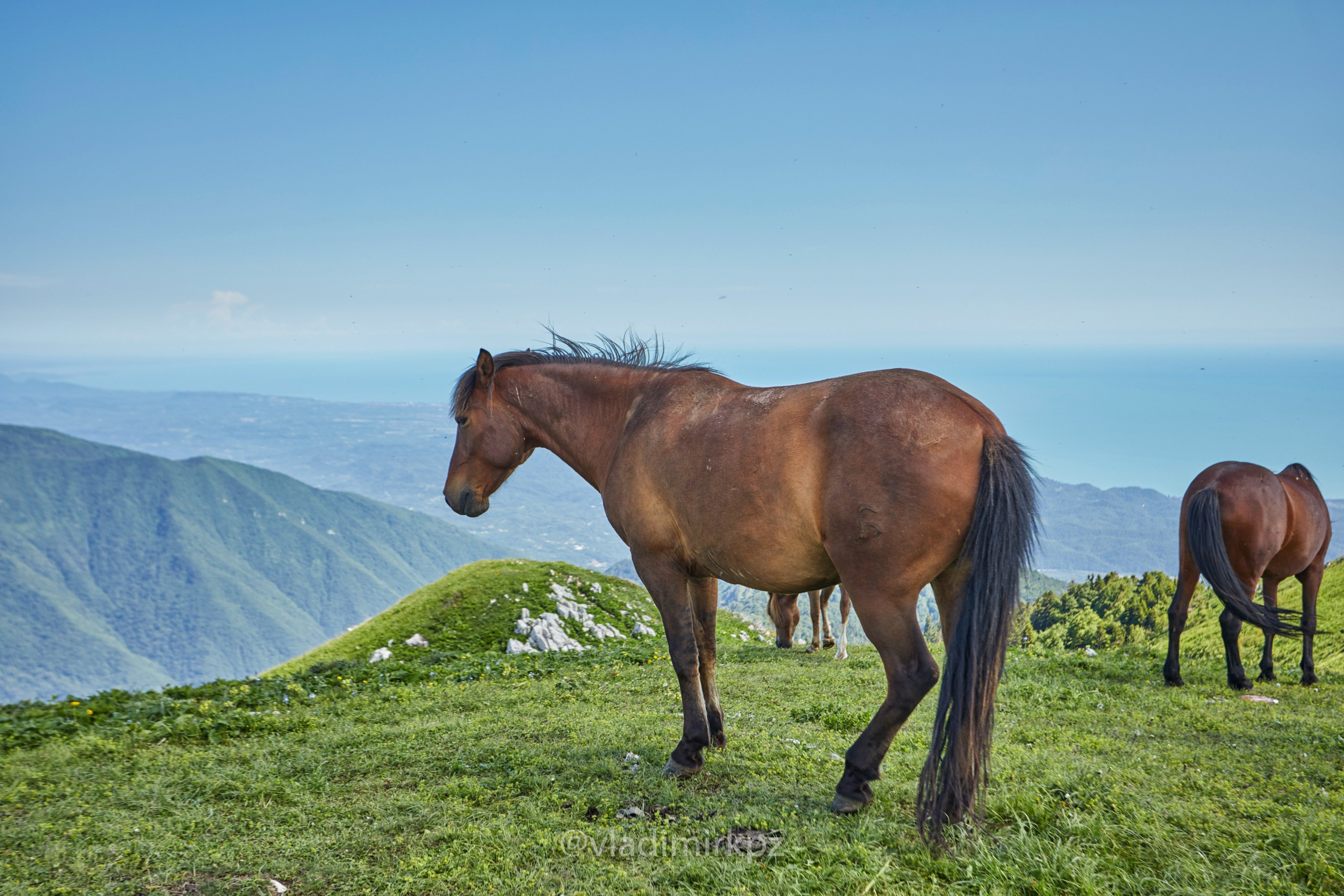 Пртретная фотосъемка в абхазии. Фотограф Абхазия