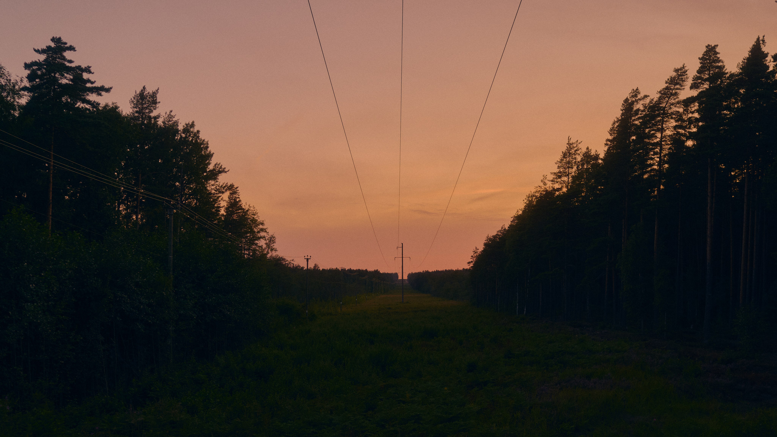 LUT's. Визуальные истории из Санкт-Петербурга