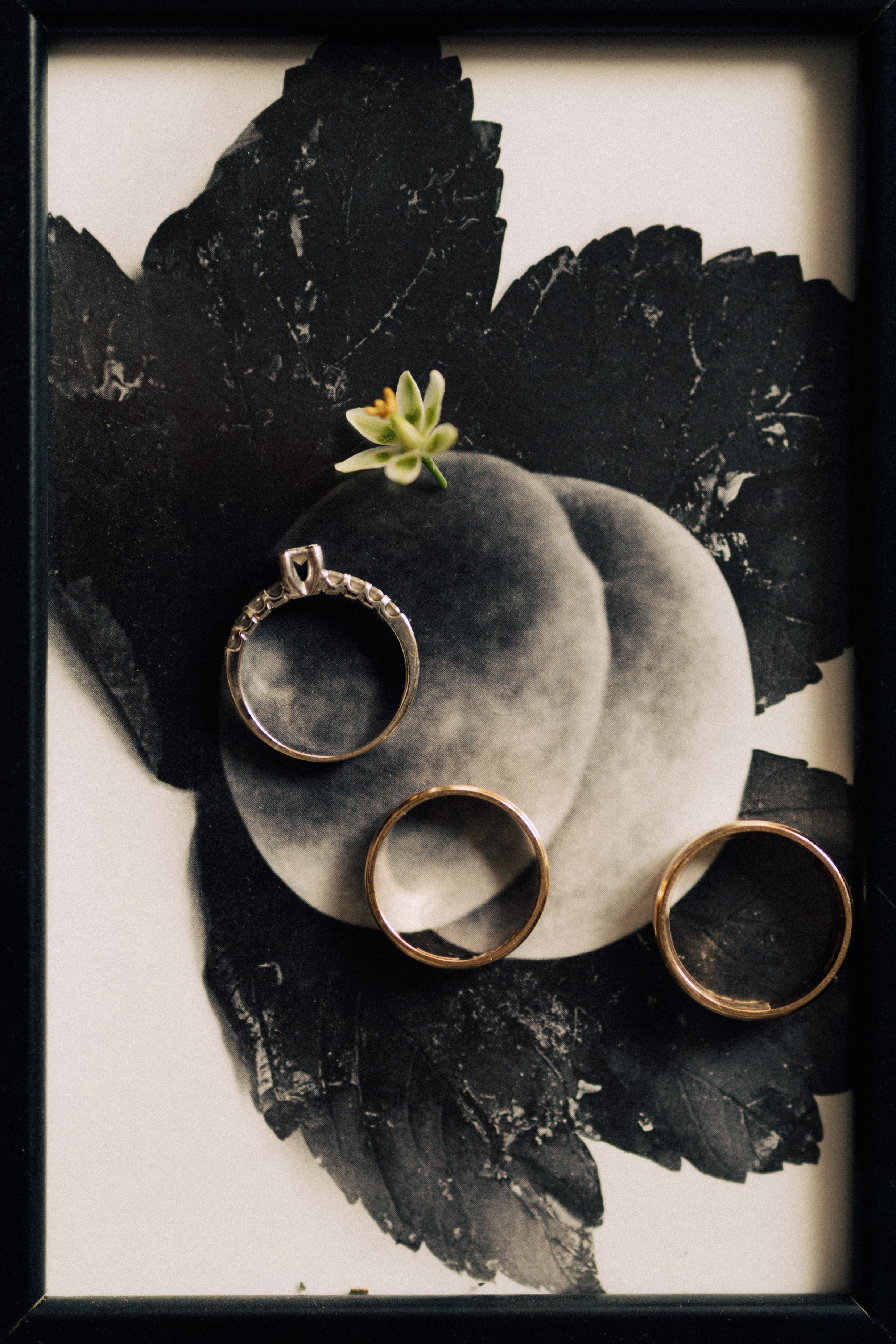 Сотканы из любви. Daria Chigintseva Photographer
