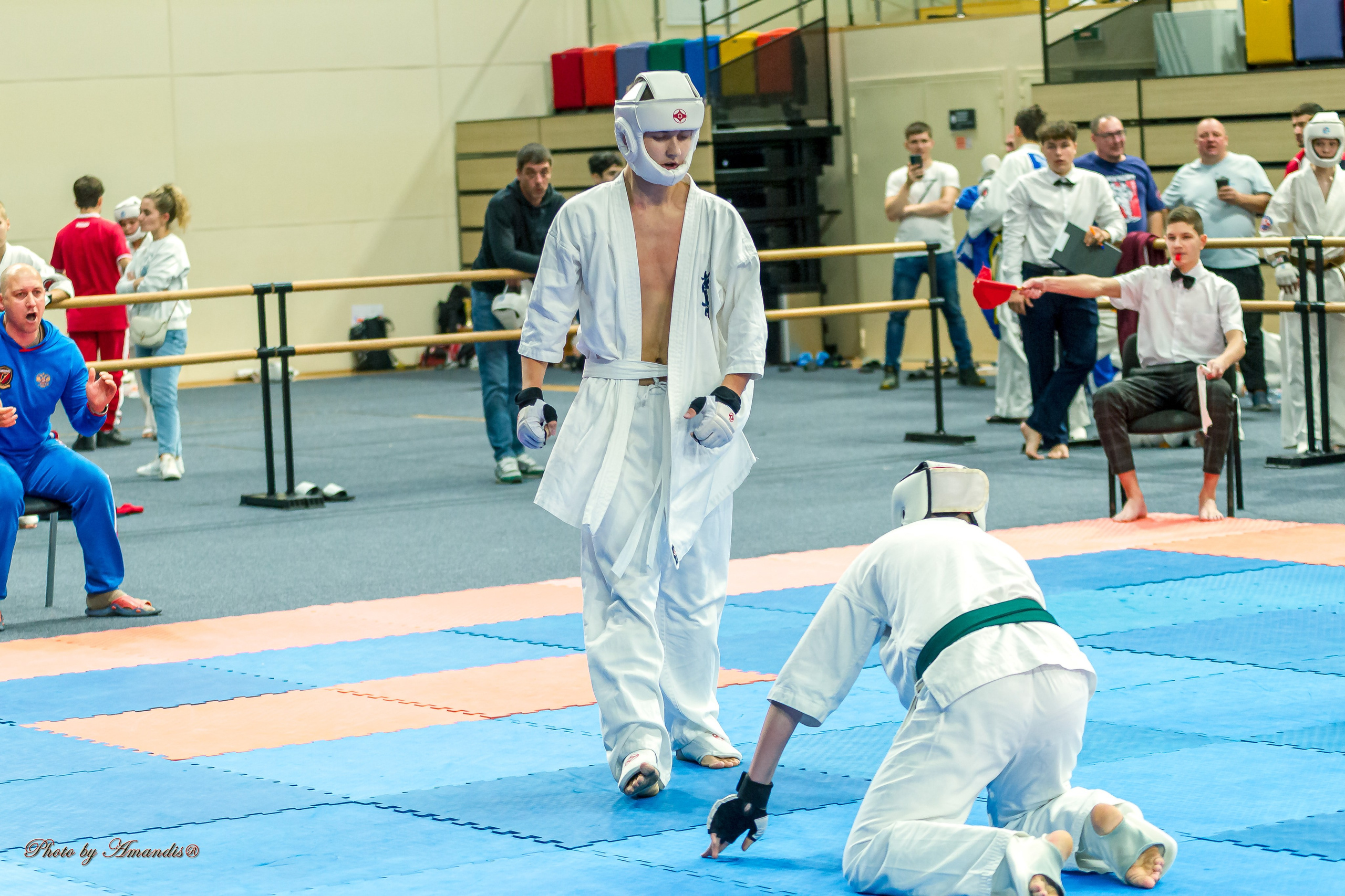 Первенство Московской области по Киокушин в СК «Жаворонки». Репортажная съемка в Москве и области. Анималистика