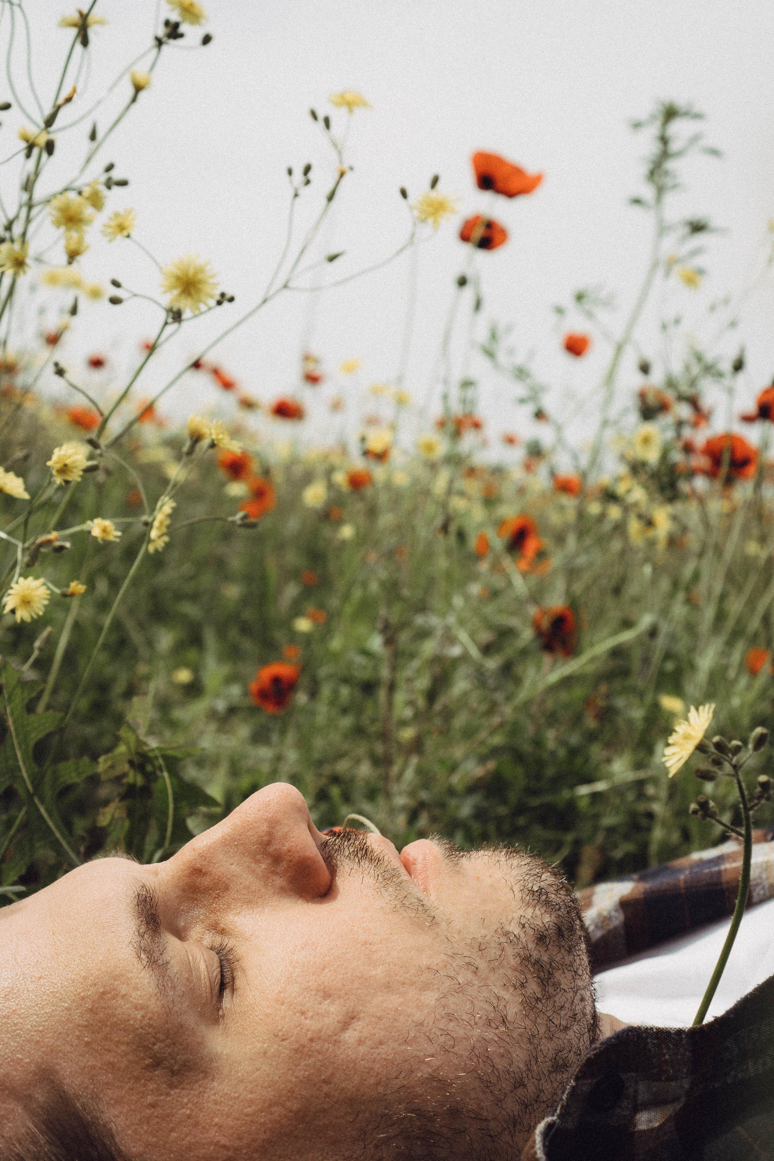 Маки. Профессиональный фотограф, Санкт-Петербург — Виктория Богомолова
